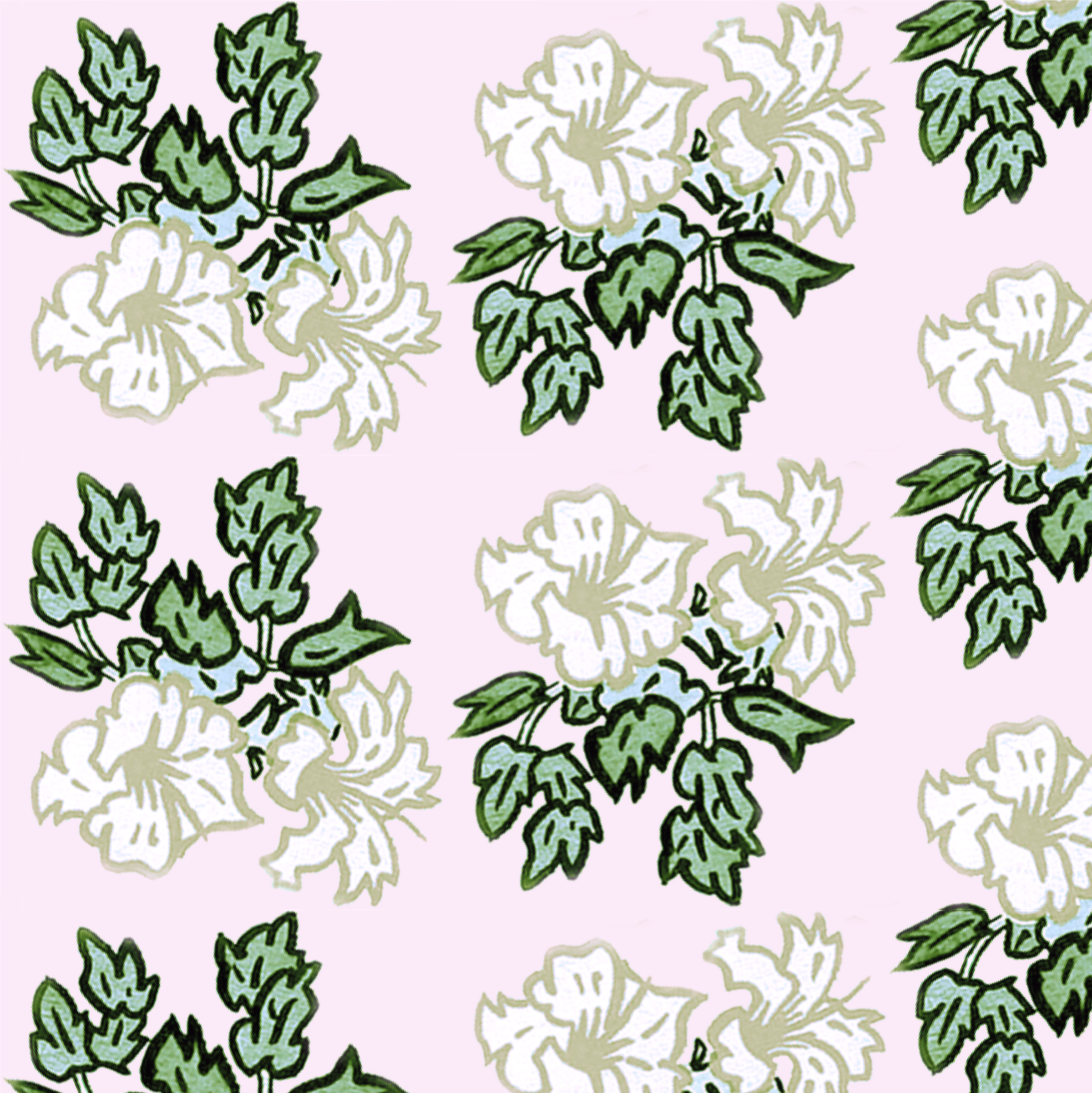 Hibiscus rows pink gr.png