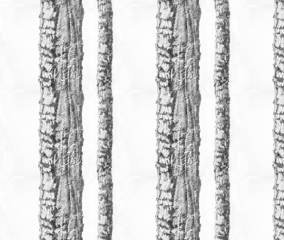Trees graphite sm tile.png