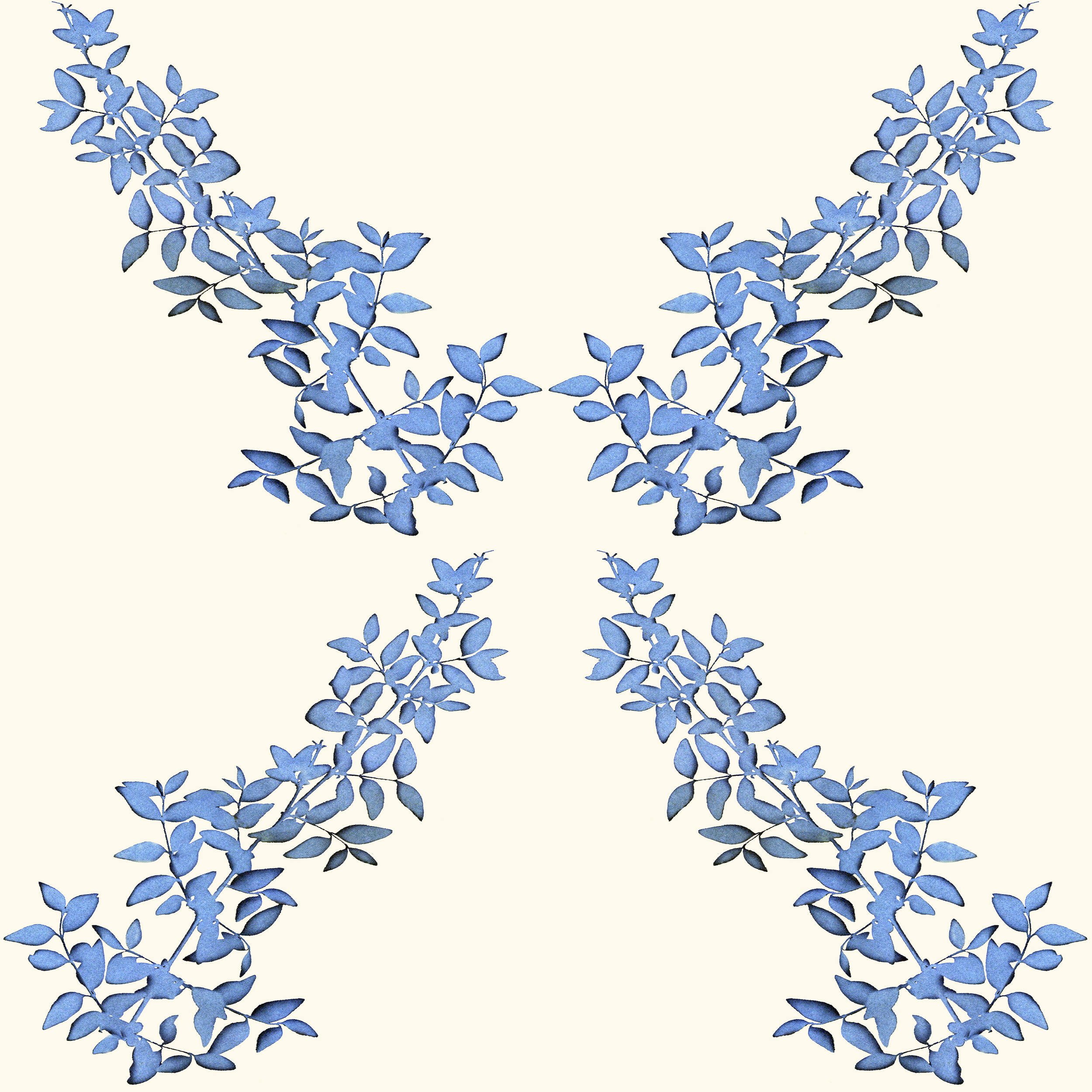 Amelia blue.png