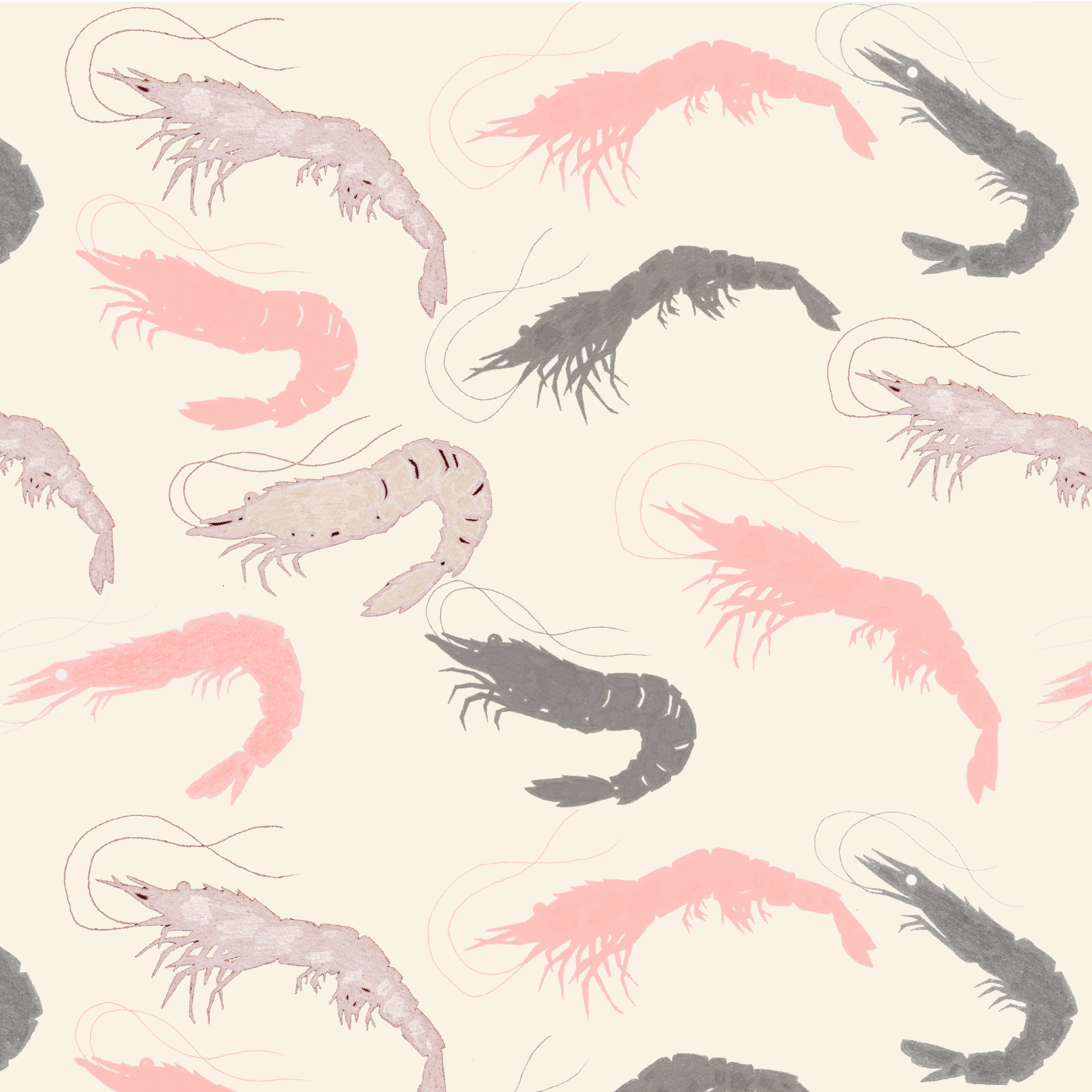 Shrimp rpt- for panels.png