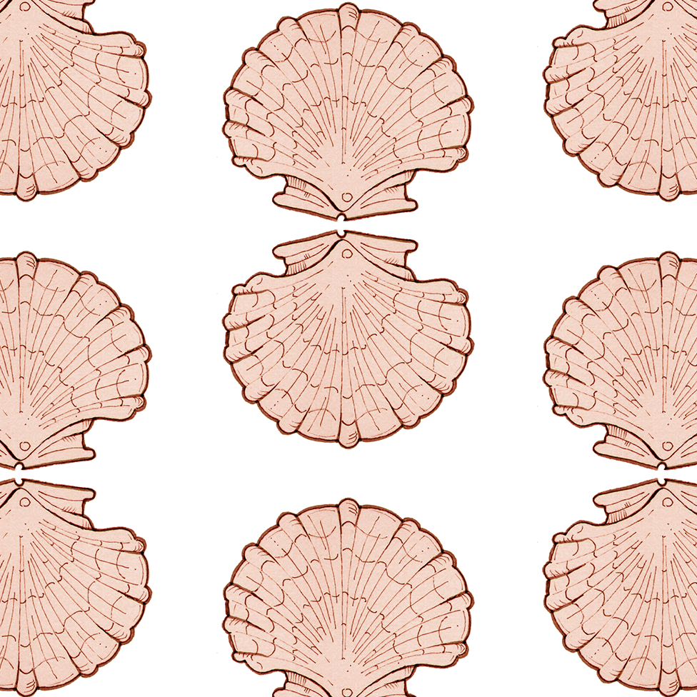 Scallops in shell sm.png