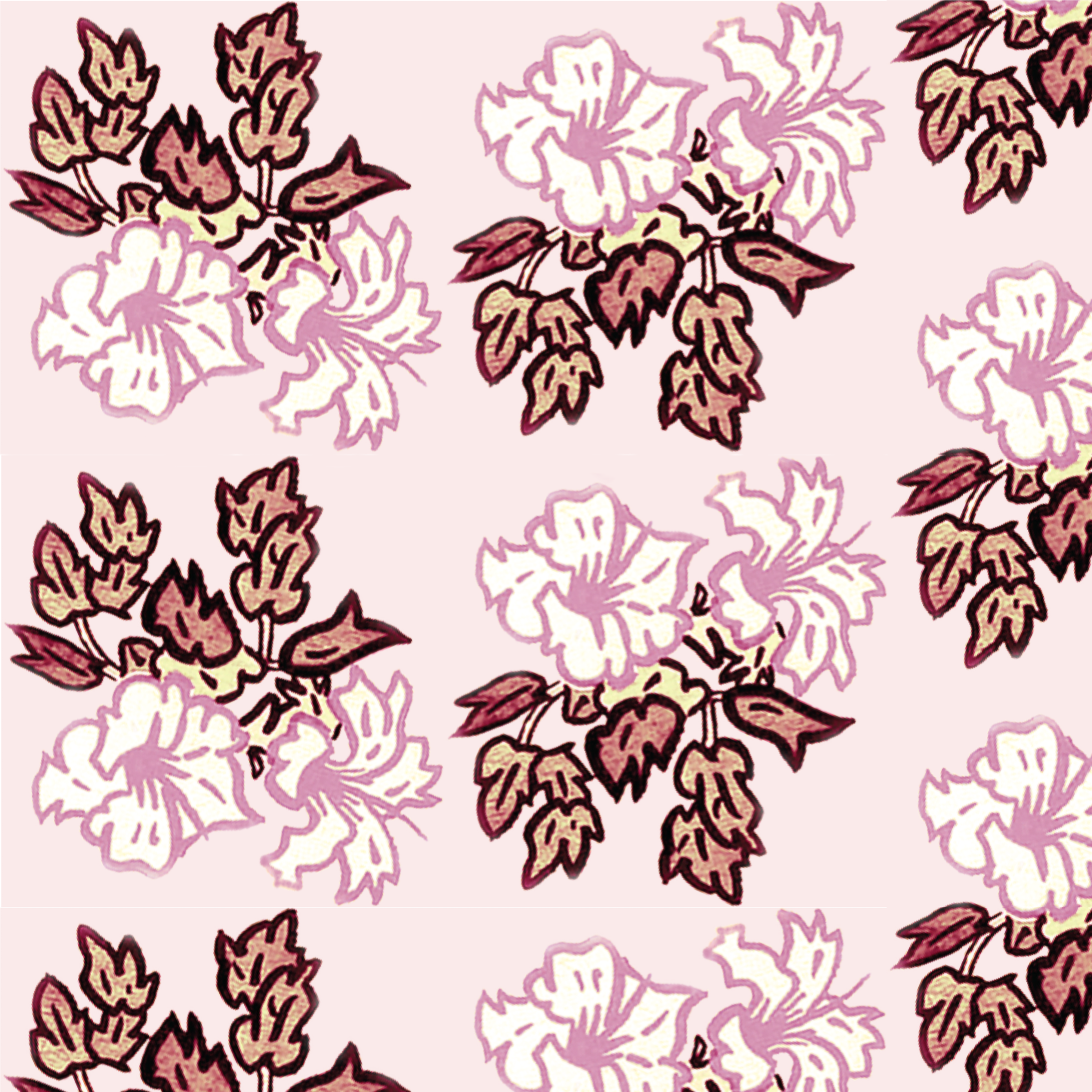 Hibiscus rows rich rose.png