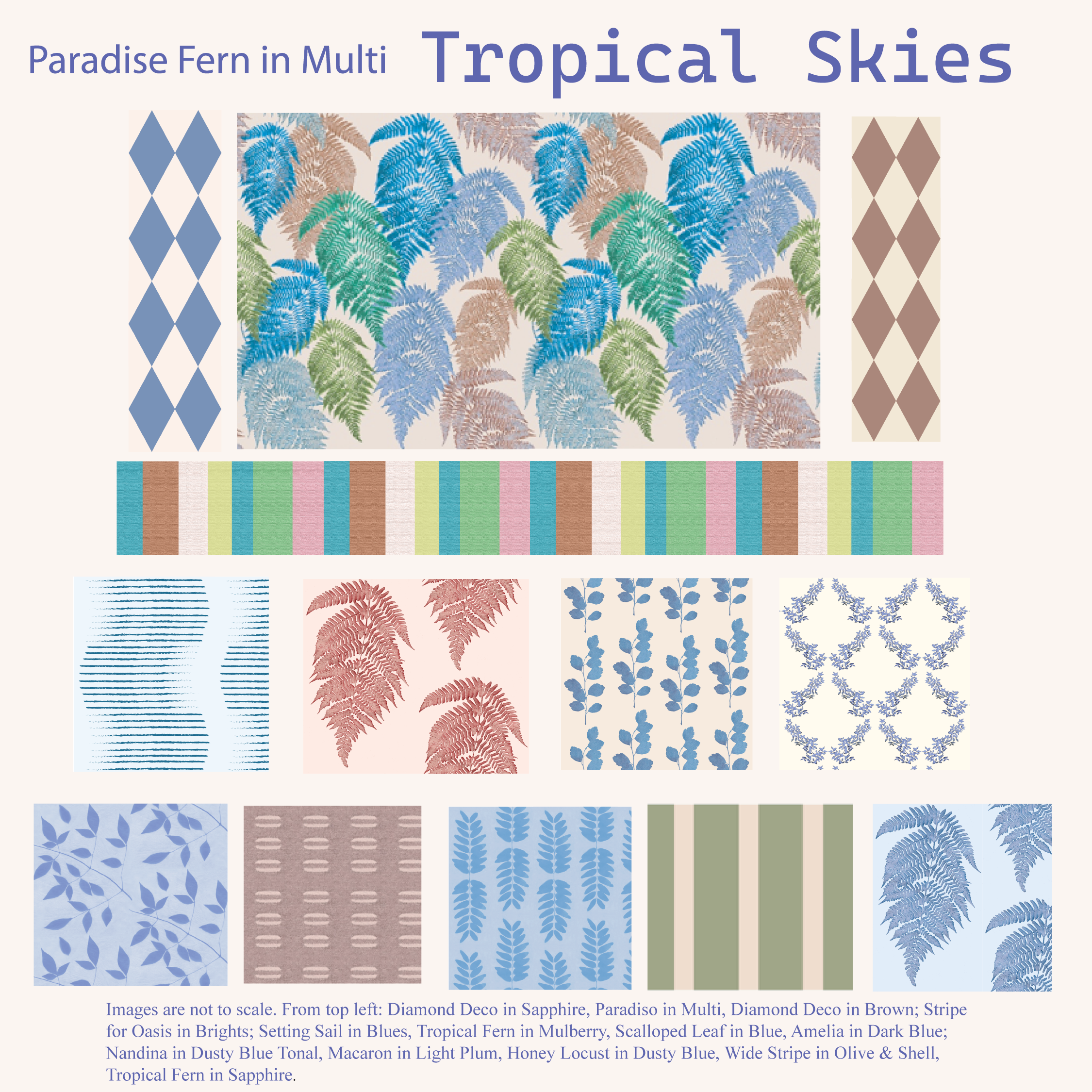 Oasis in Multi white.png