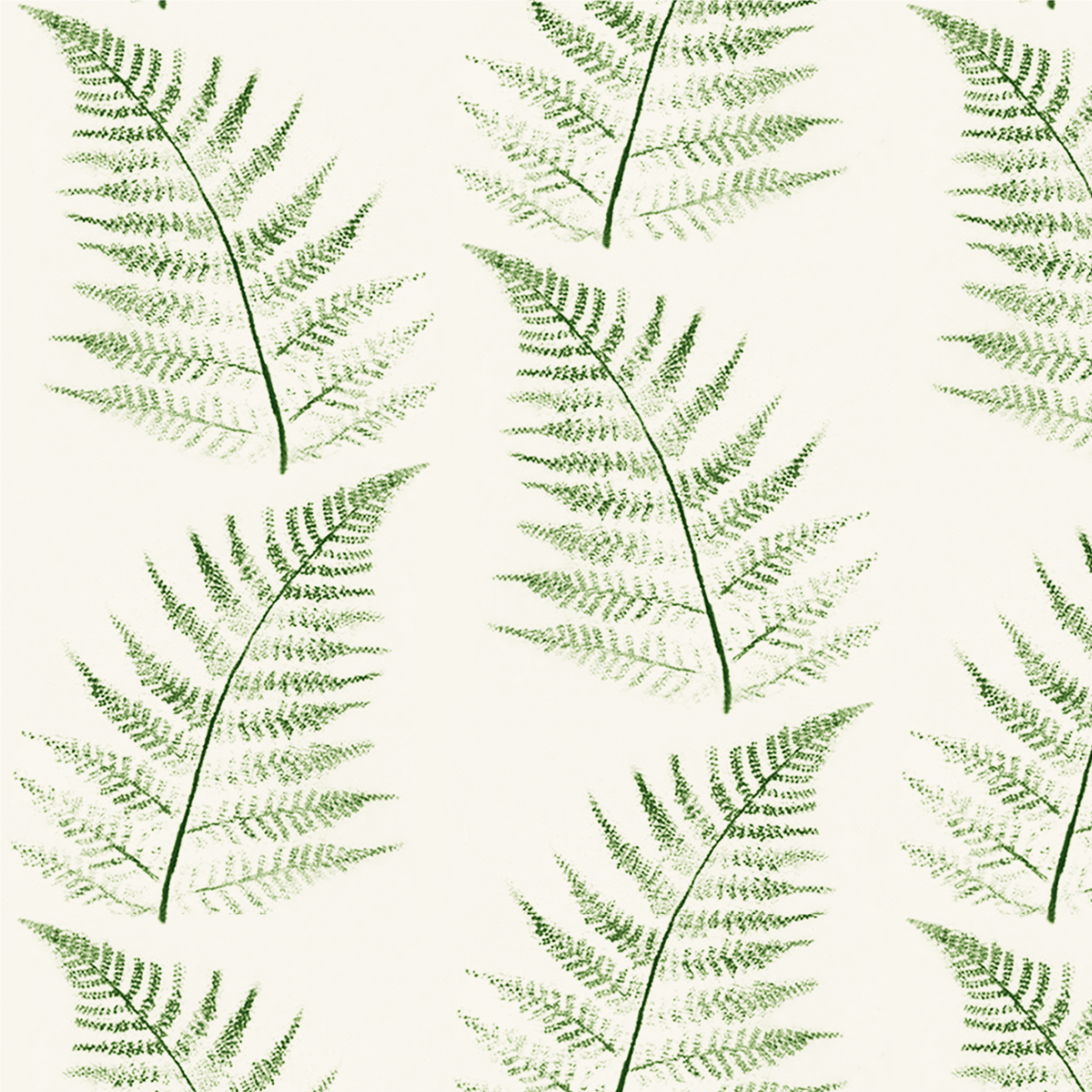 Fern in  green-6.5 memo.png