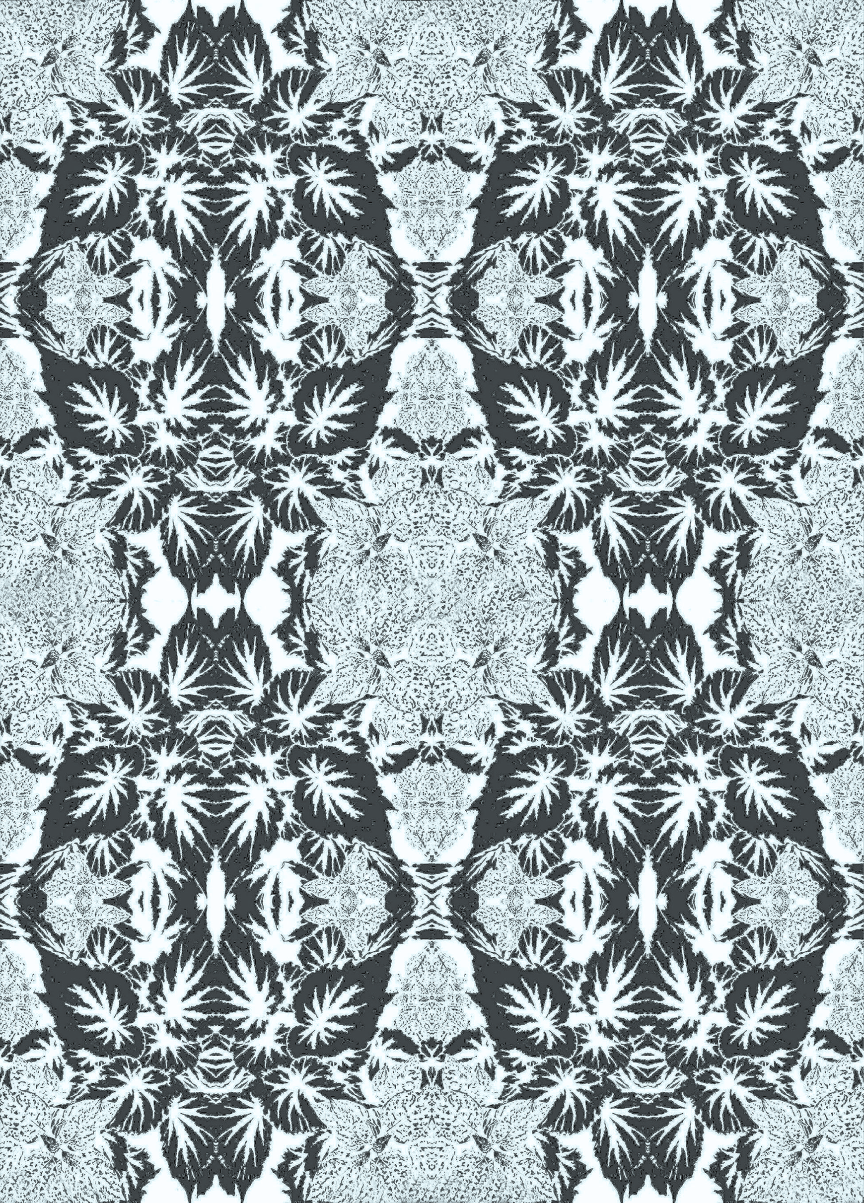 Begonia pale aqua 11.6.png