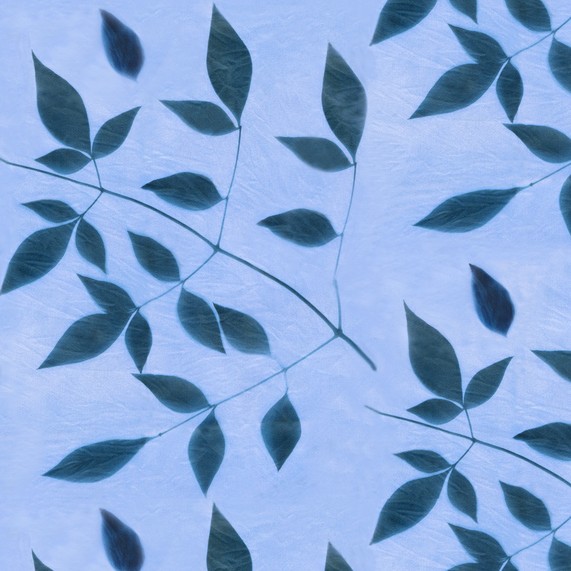 Nandina blue tonal on  rpt 10.4 memo.png