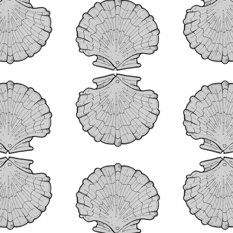 Scallops in graphite sm.png