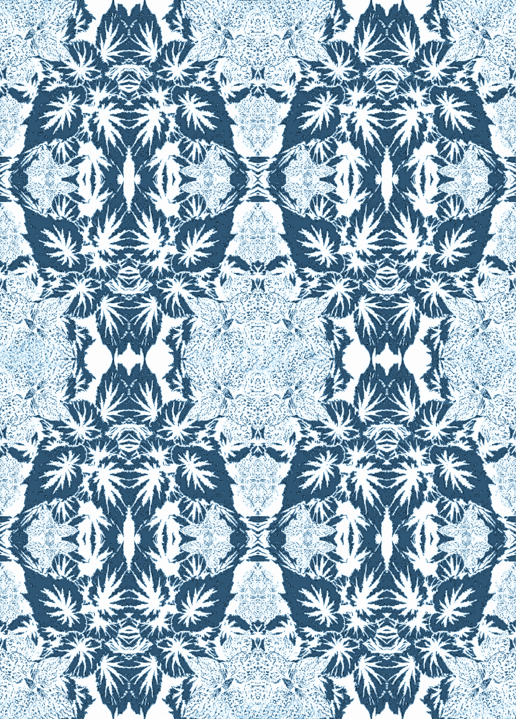 Begonia (6 Colors)