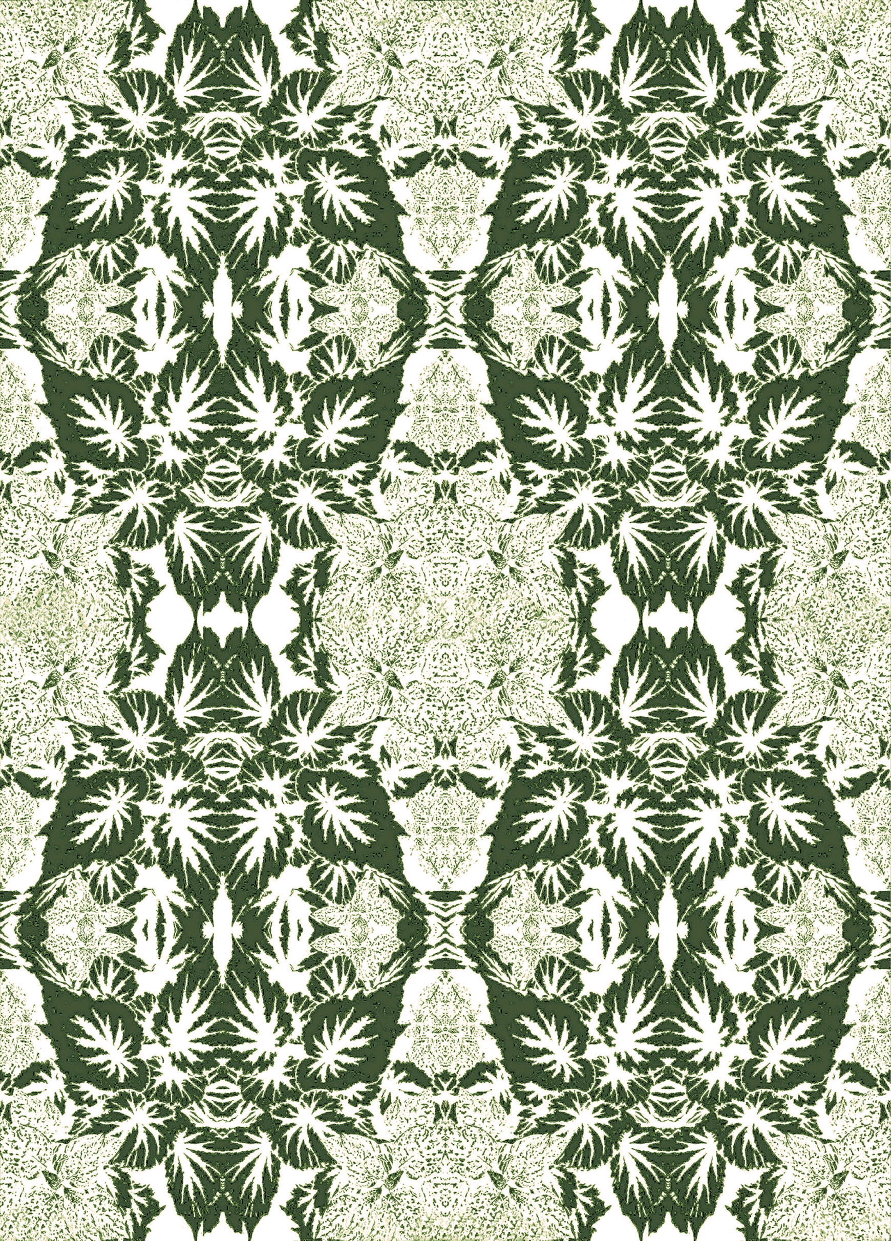 Begonia pine 11.6.png