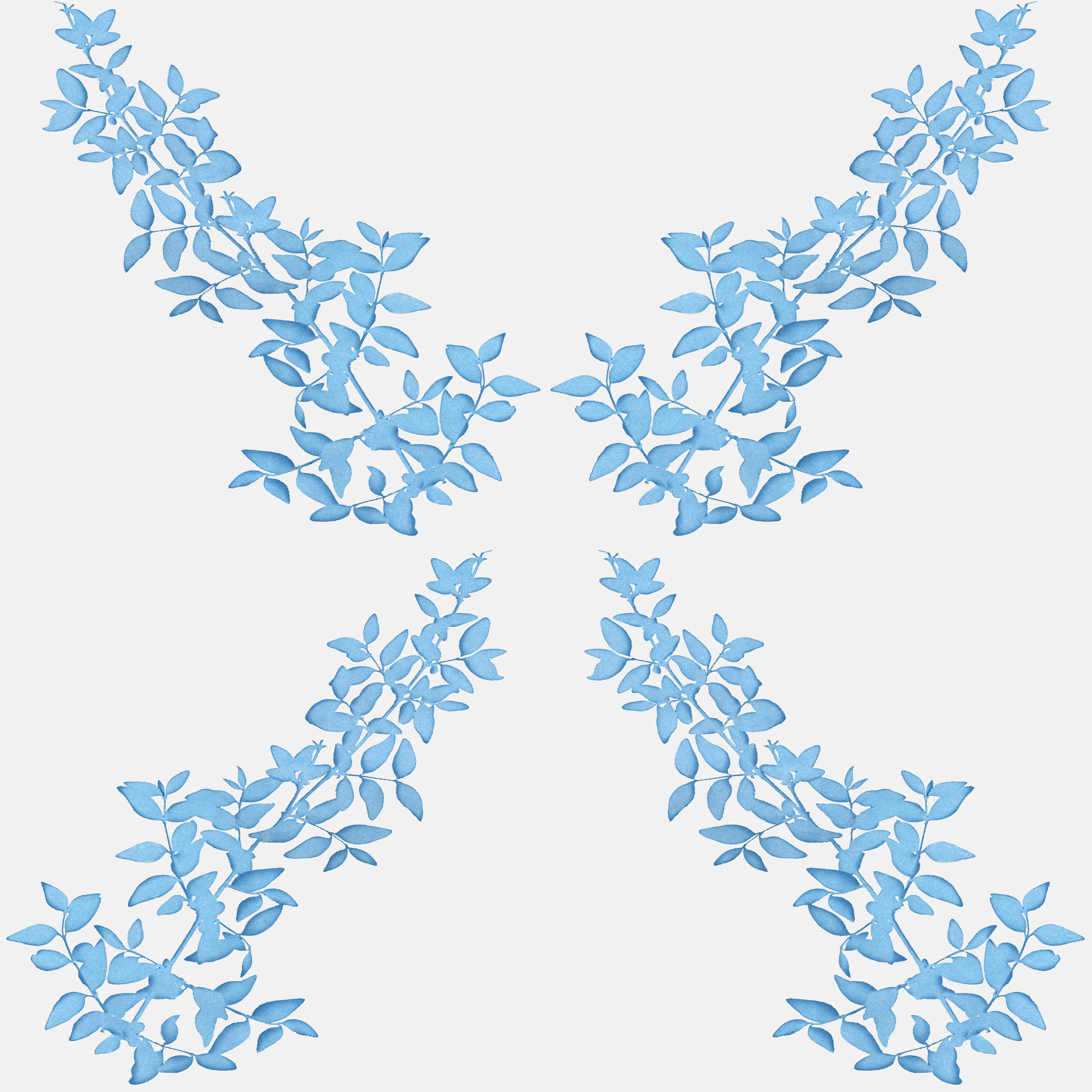 Amelia lt blue.png