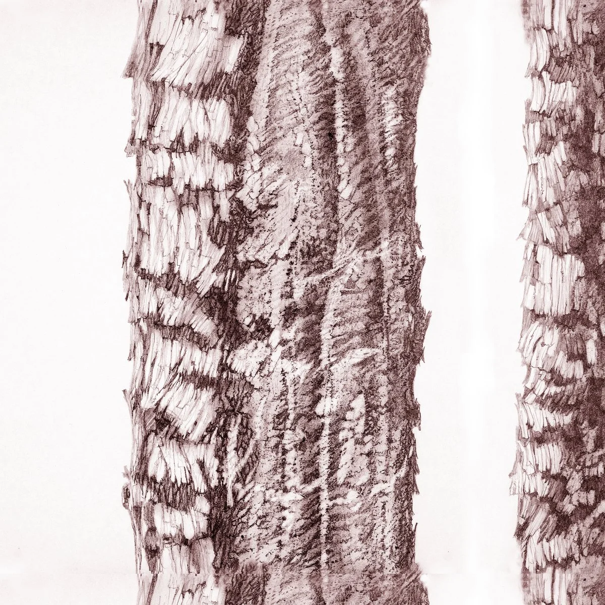 Trees (2 Colors)