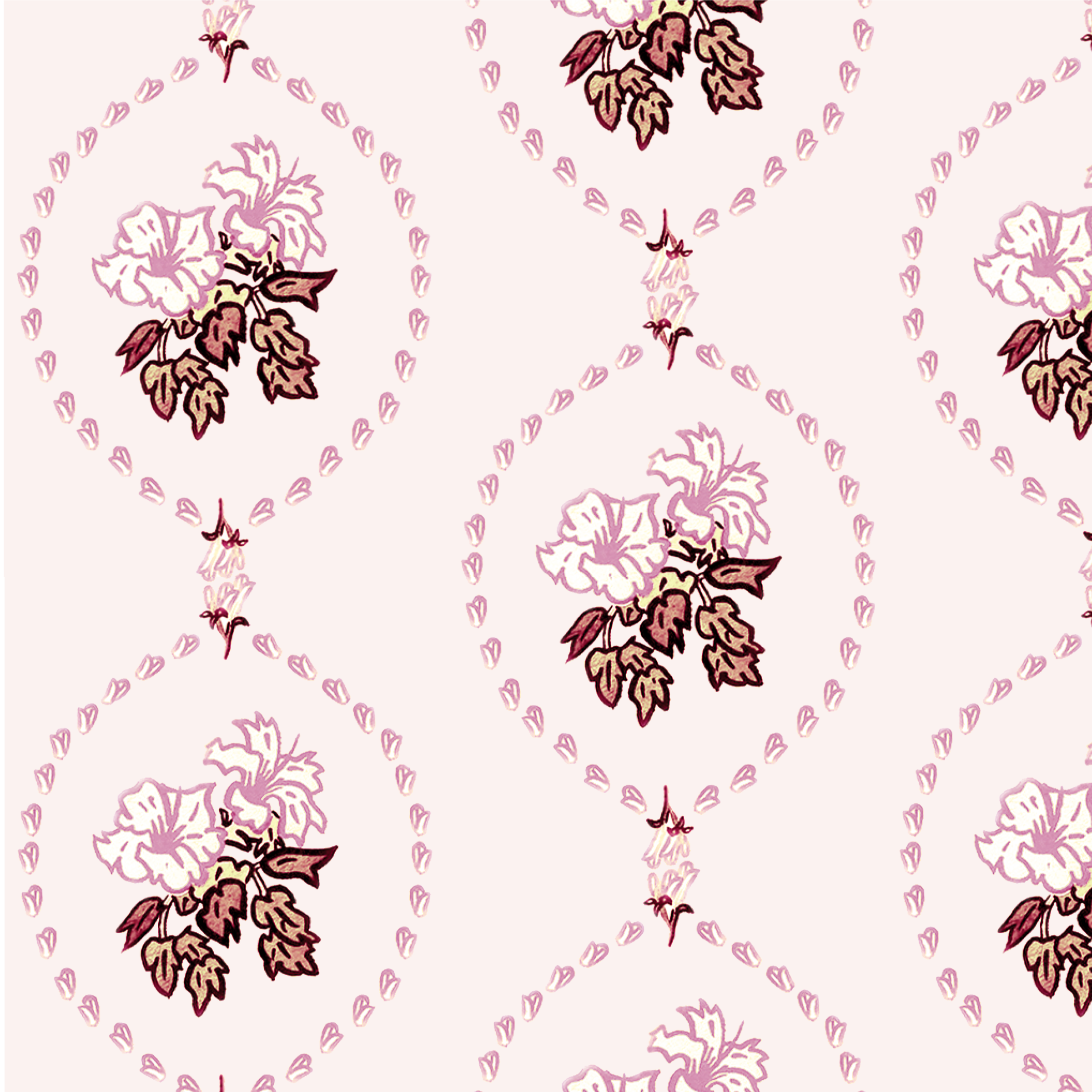 Hibiscus cameo soft rose.png
