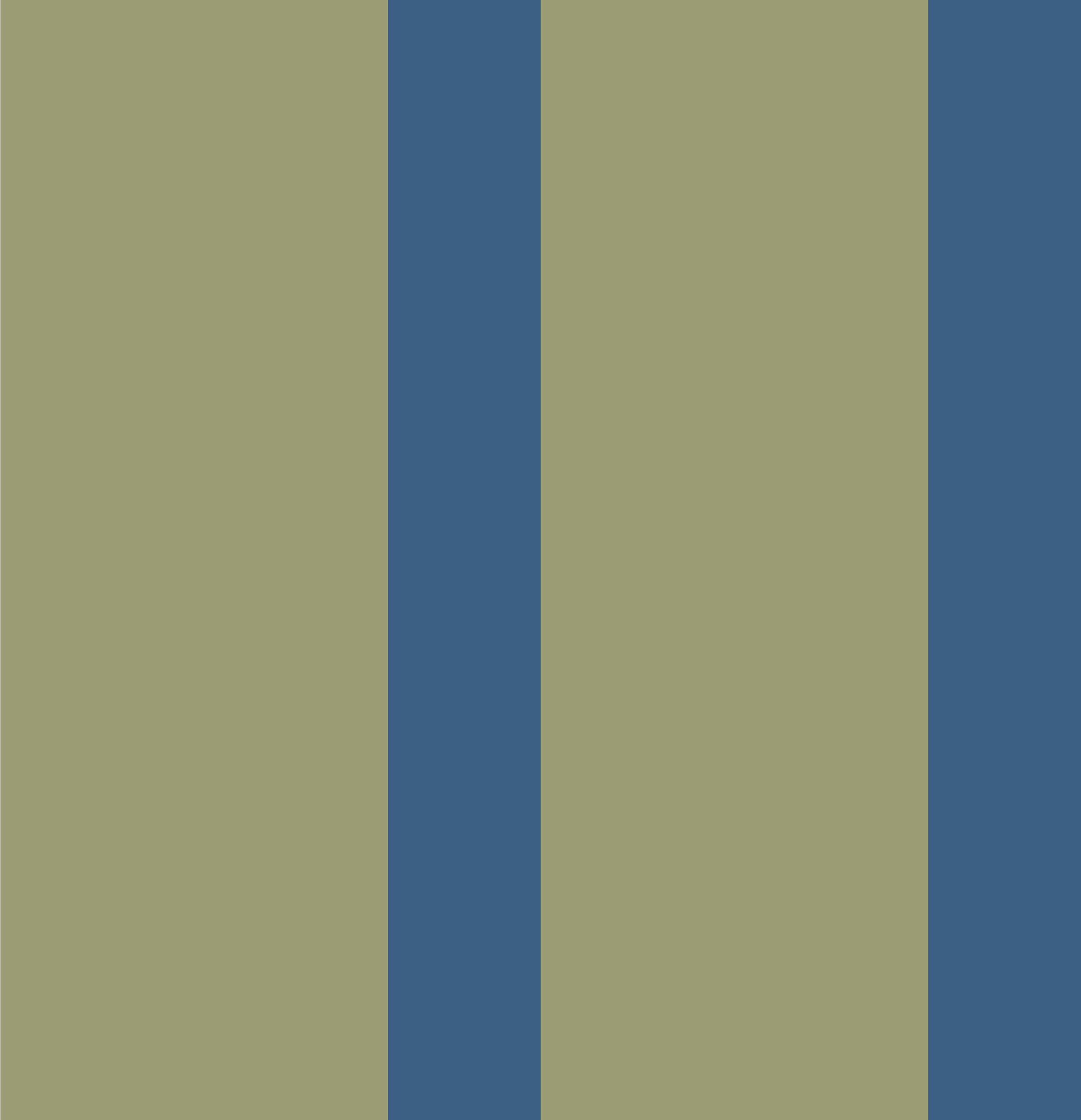 Wide stripe for Oasis in Navy on Olive.png