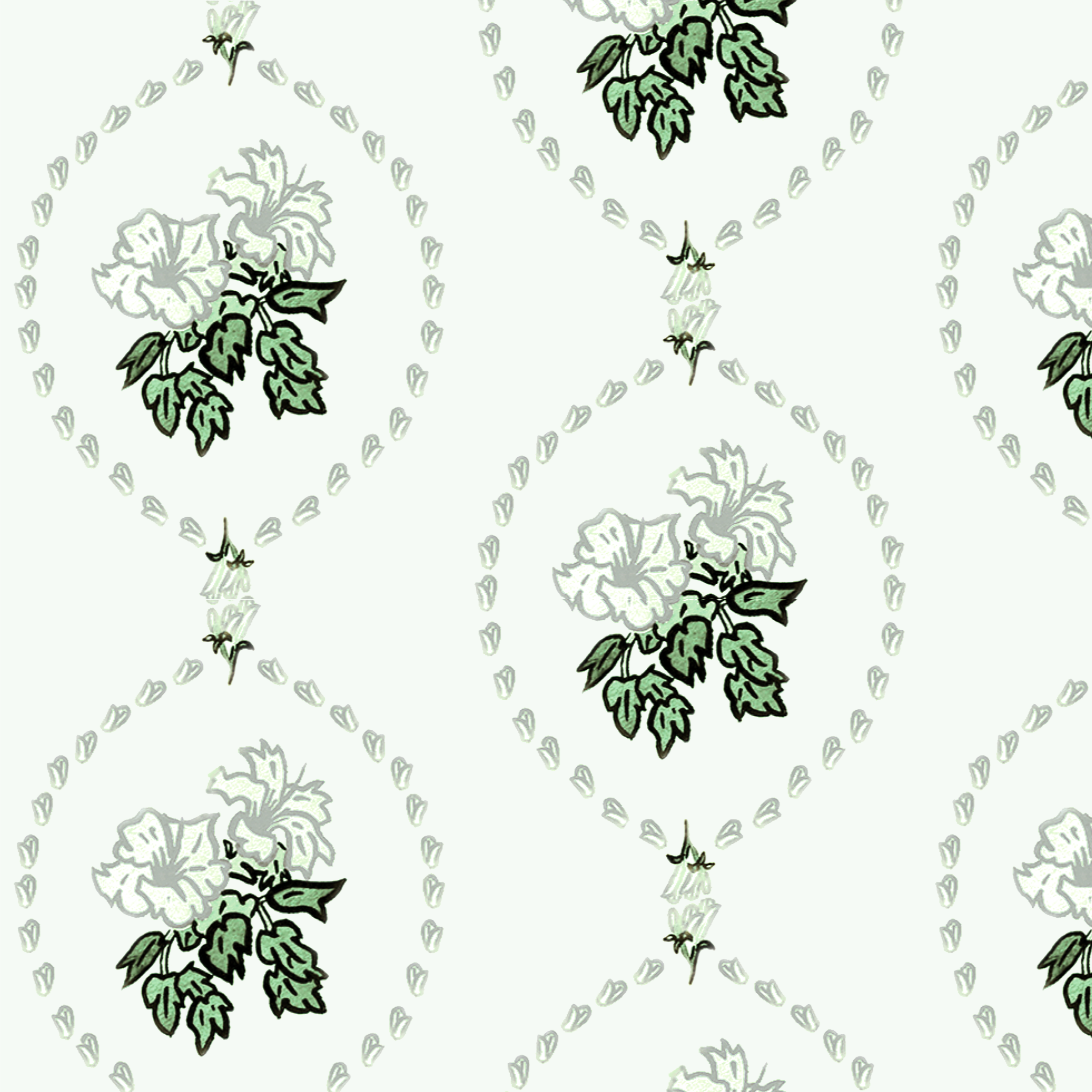 Hibiscus cameo sage.png