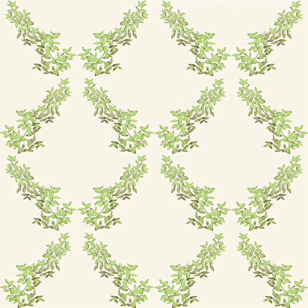 761545973_28304520462478997_2534926123222685458_n.jpg
