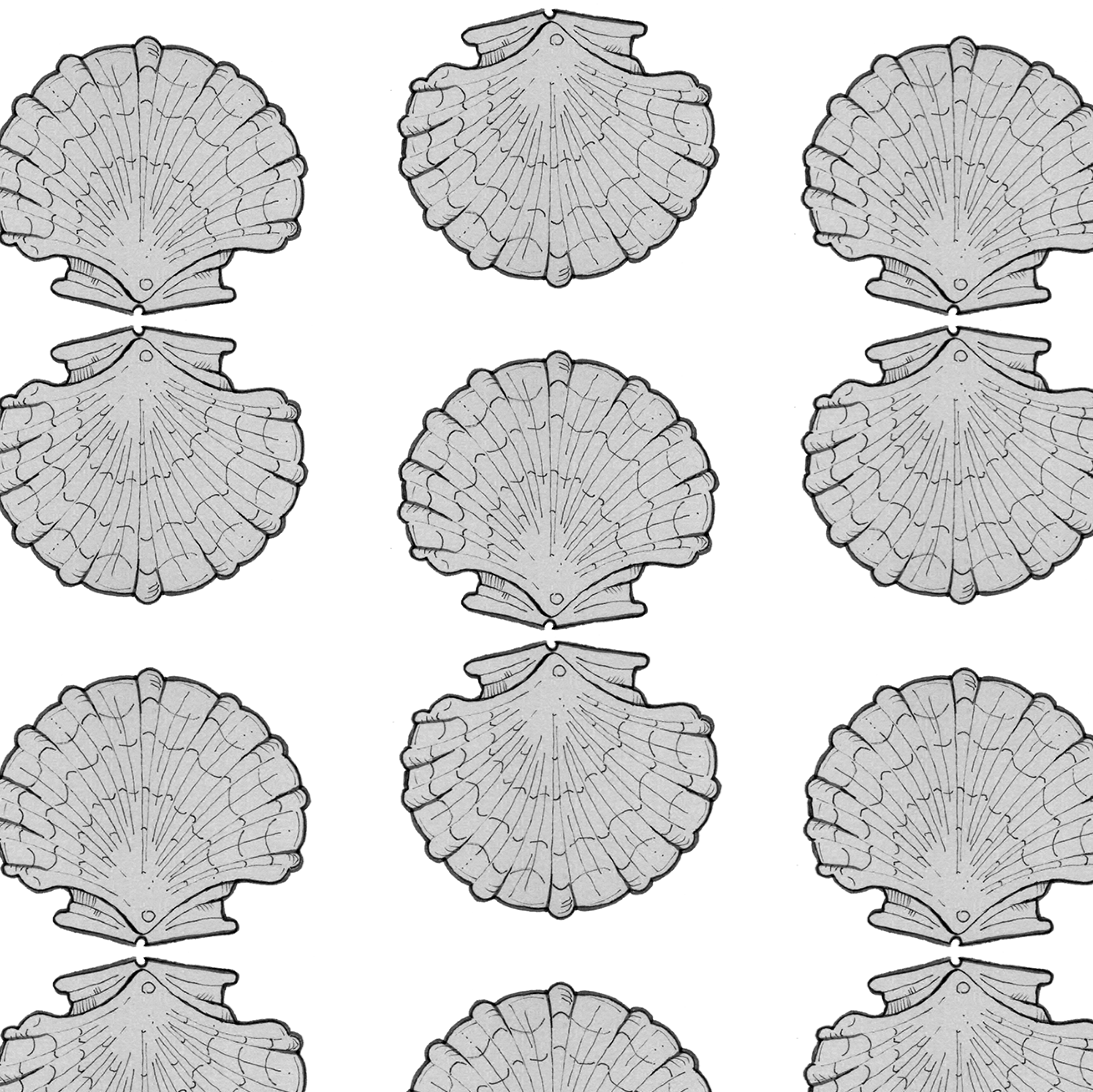 Scallops in graphite.png