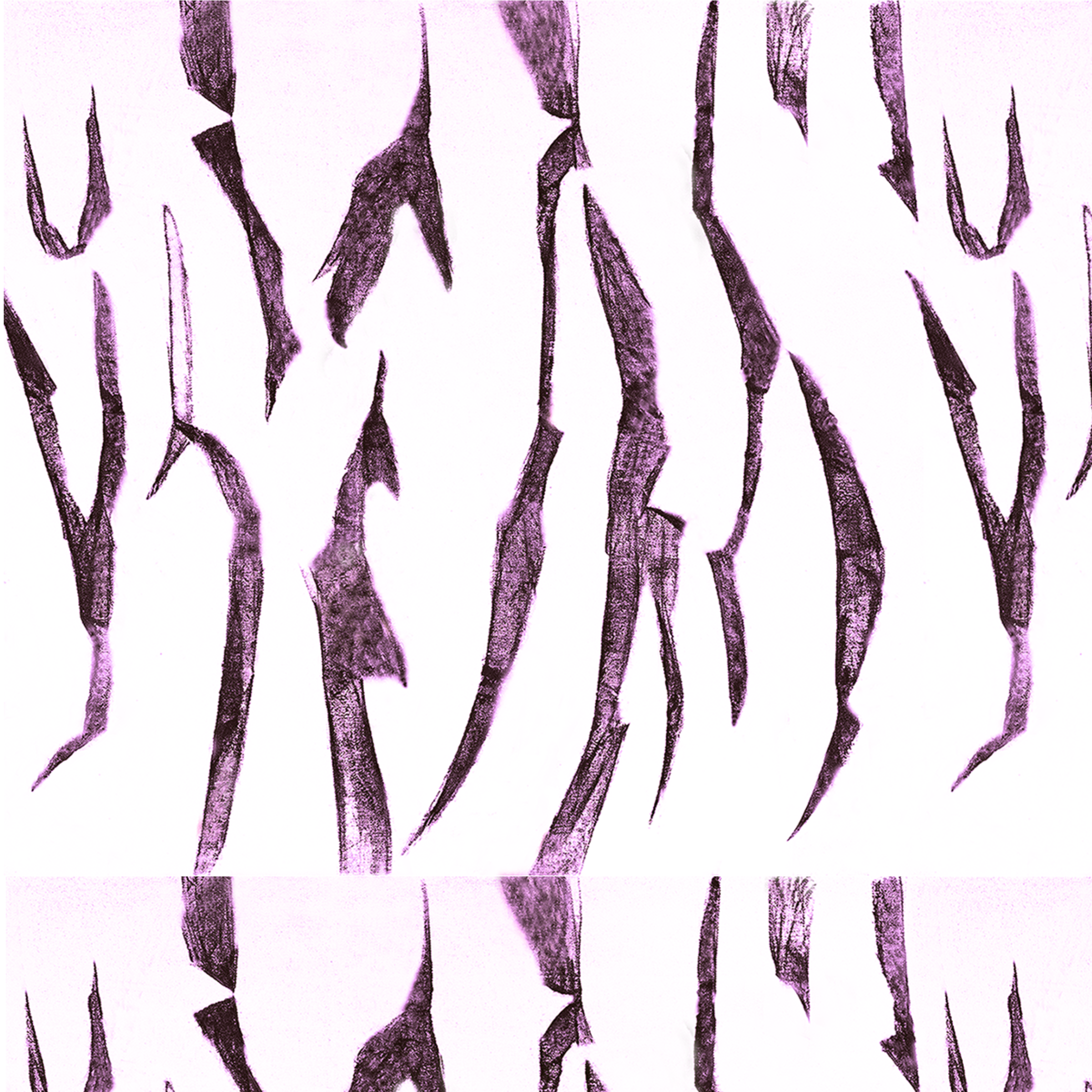 Bamboo violet 6.75 F memo.png