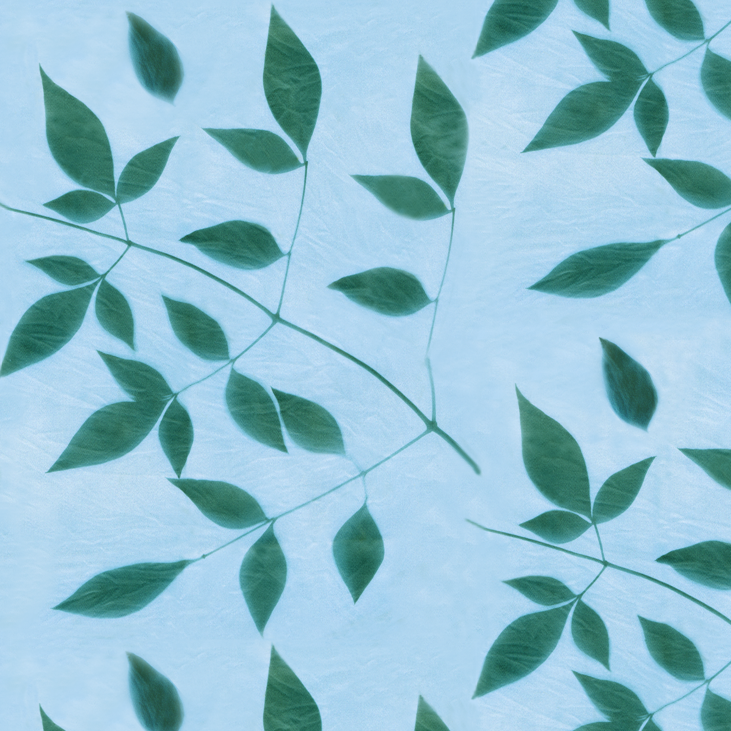 Nandina br gr on bl rpt 10.4 memo.png