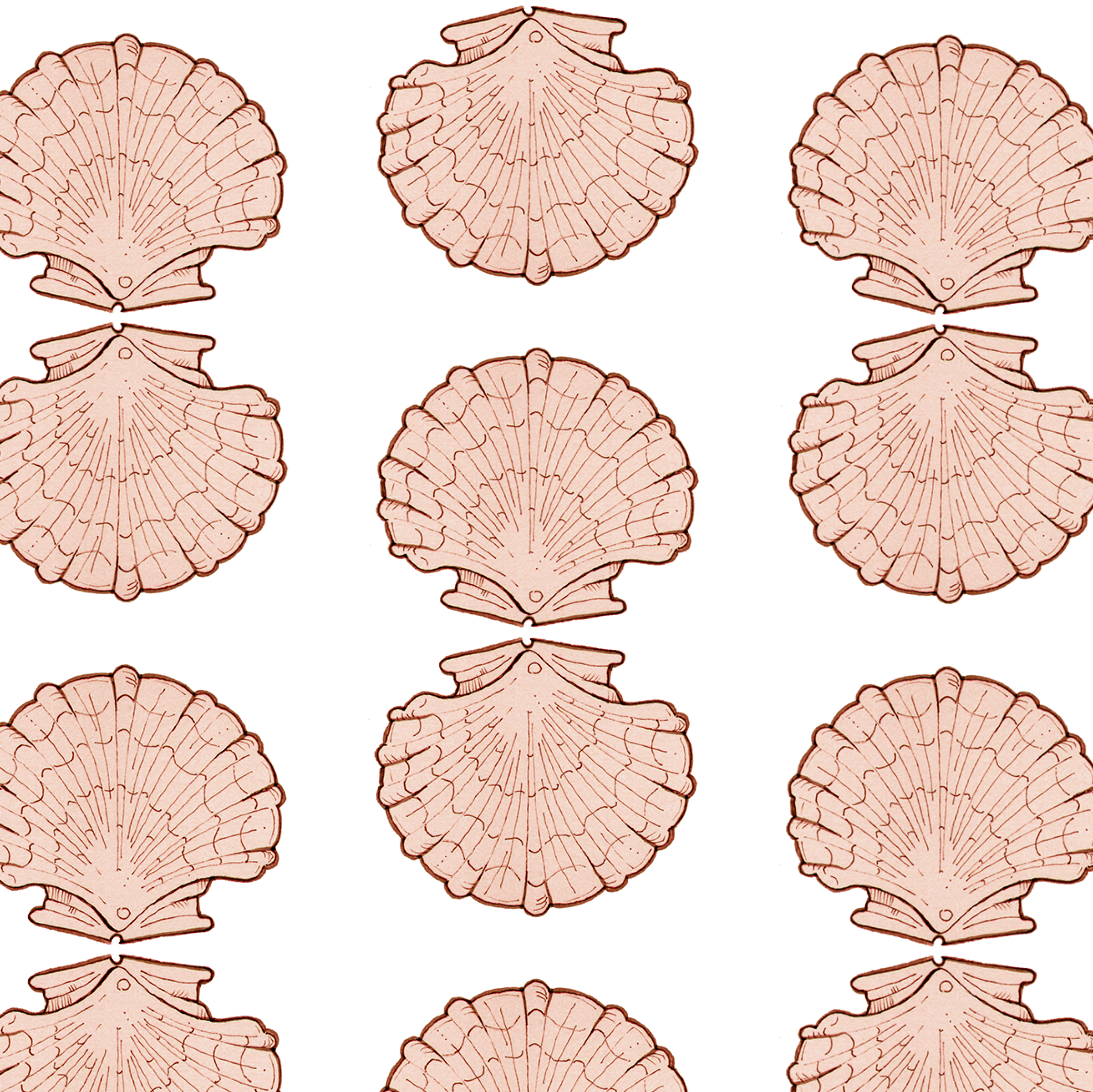 Scallops in shell.png