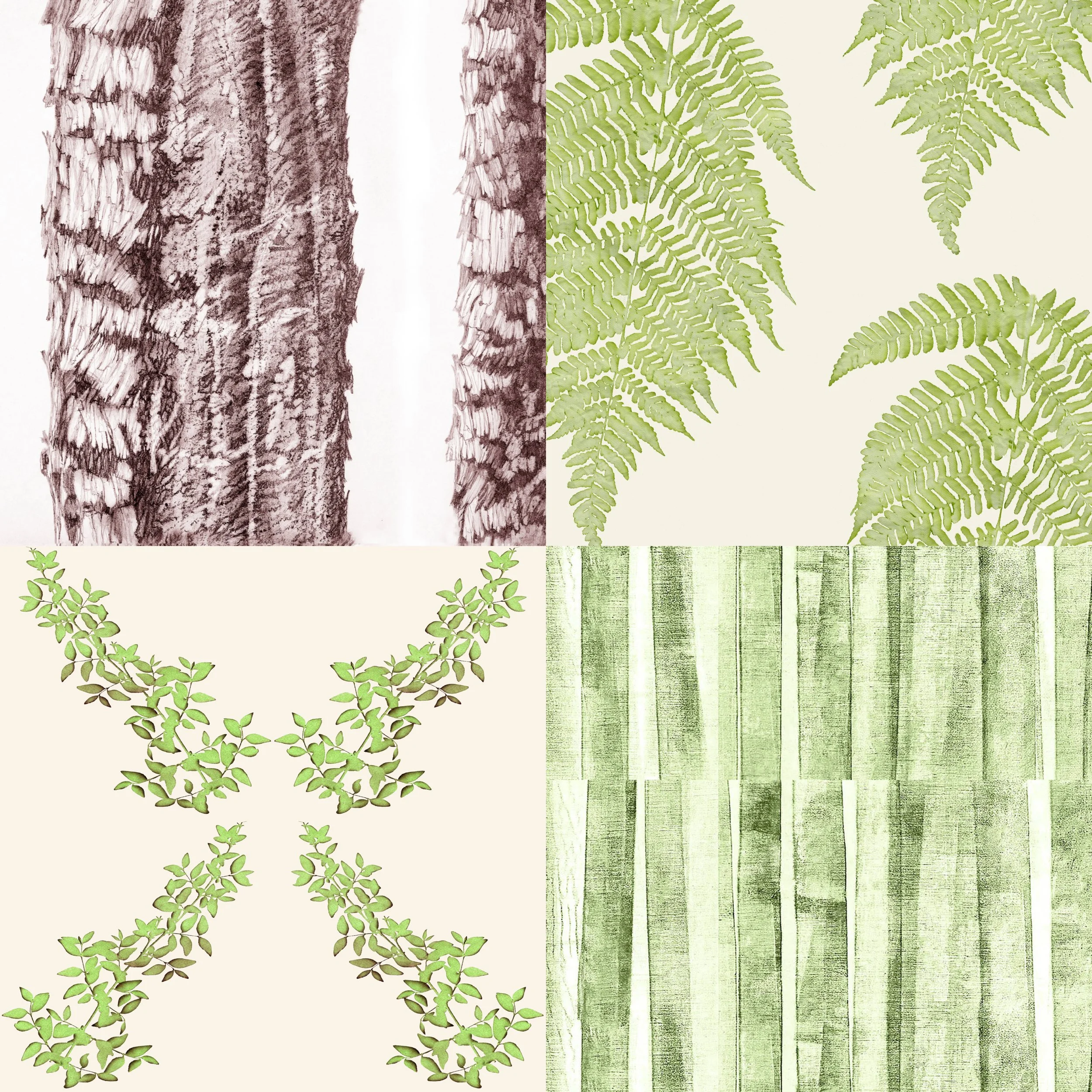 mb collage 4 tree naturlist 7-2.jpg