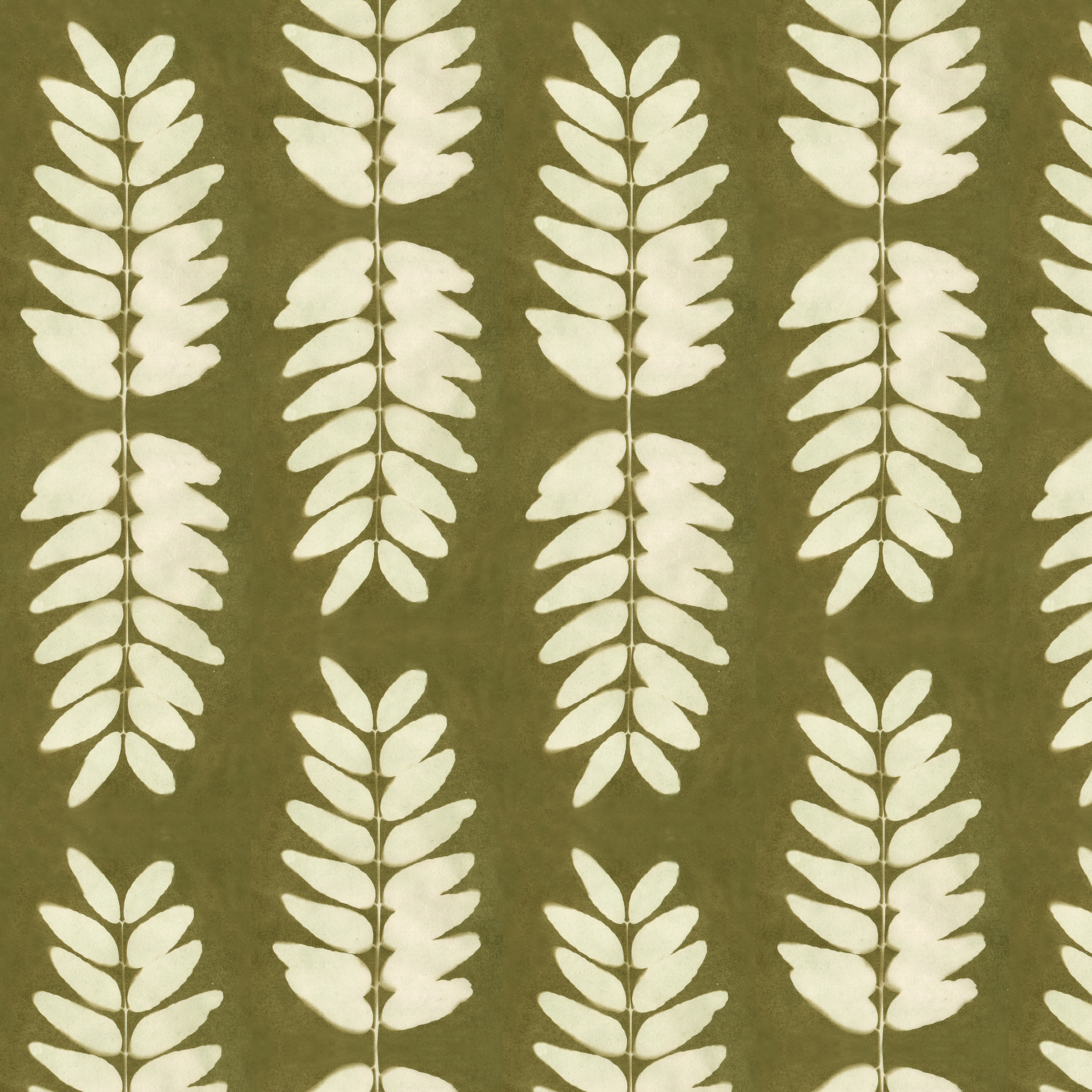Honey locust dk olive 3.71 memo.png