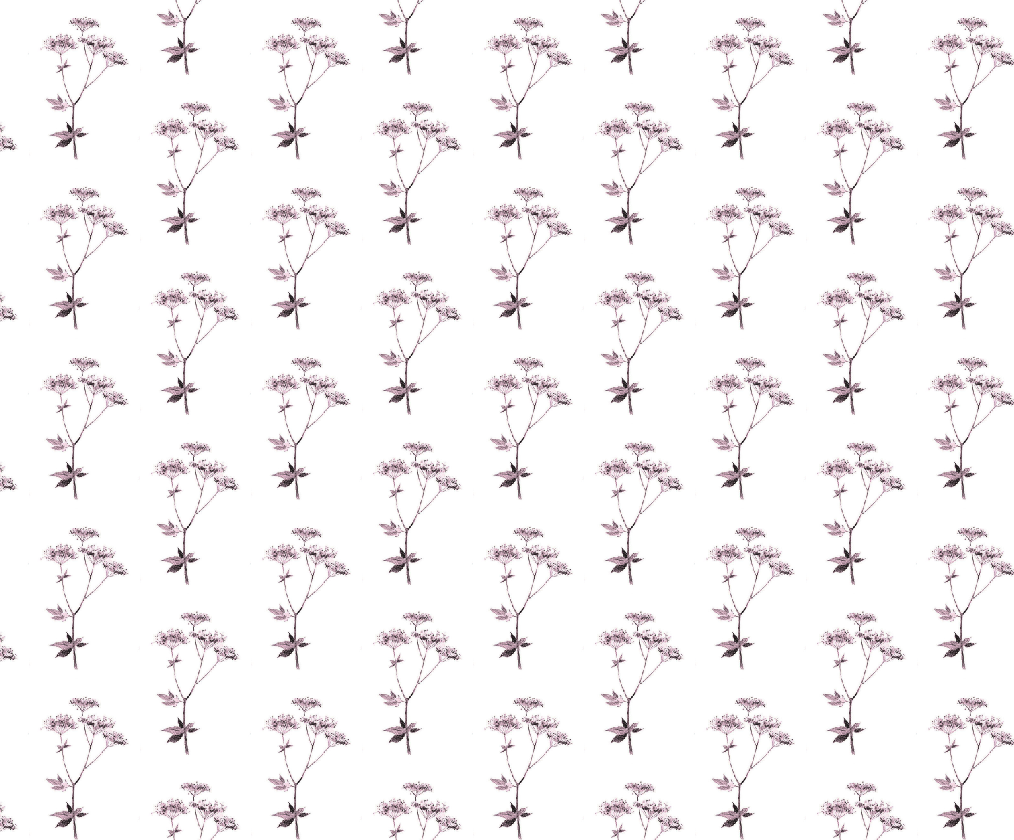 Lace cocoa plum tile F.png