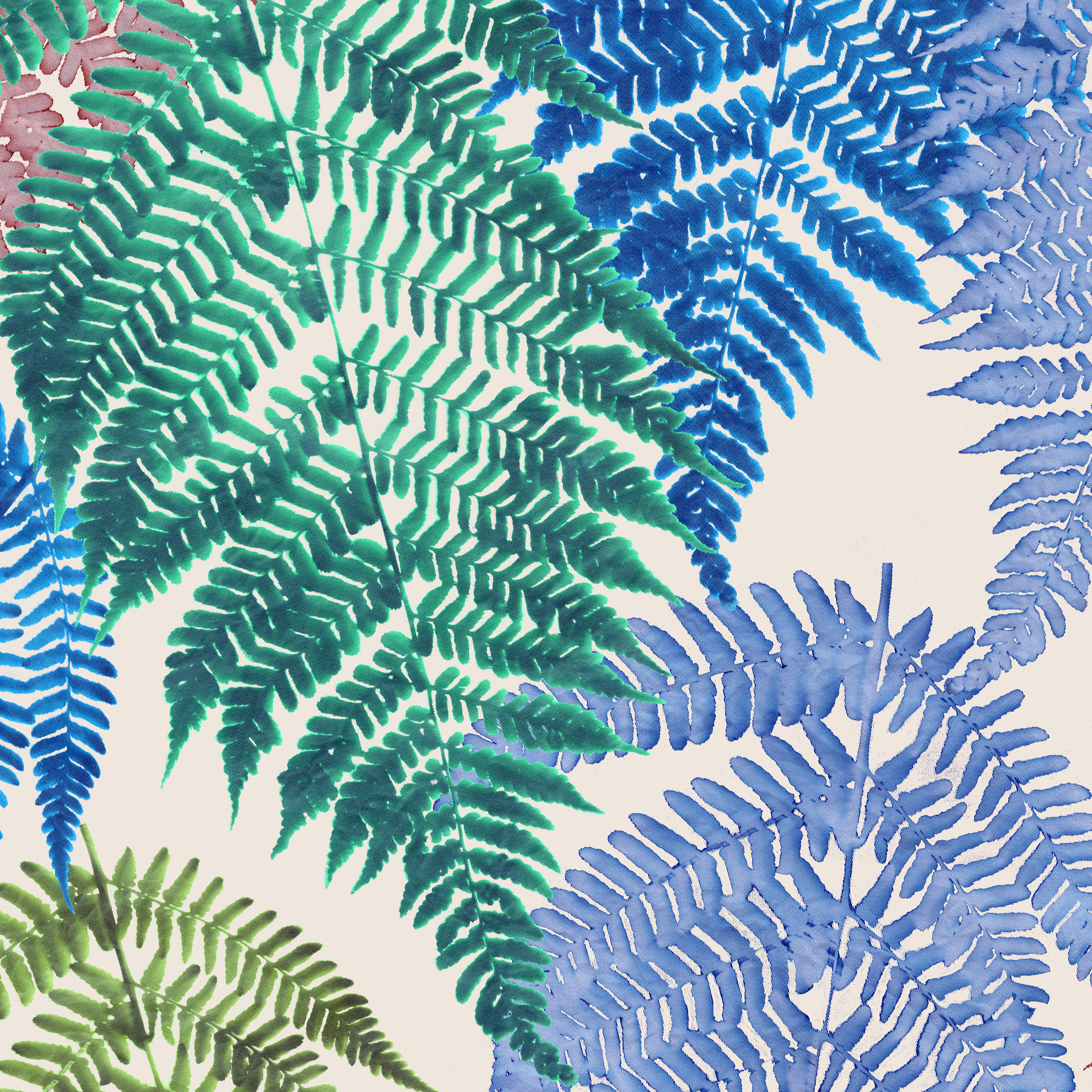 Paraside Fern in Sapphire memo.png