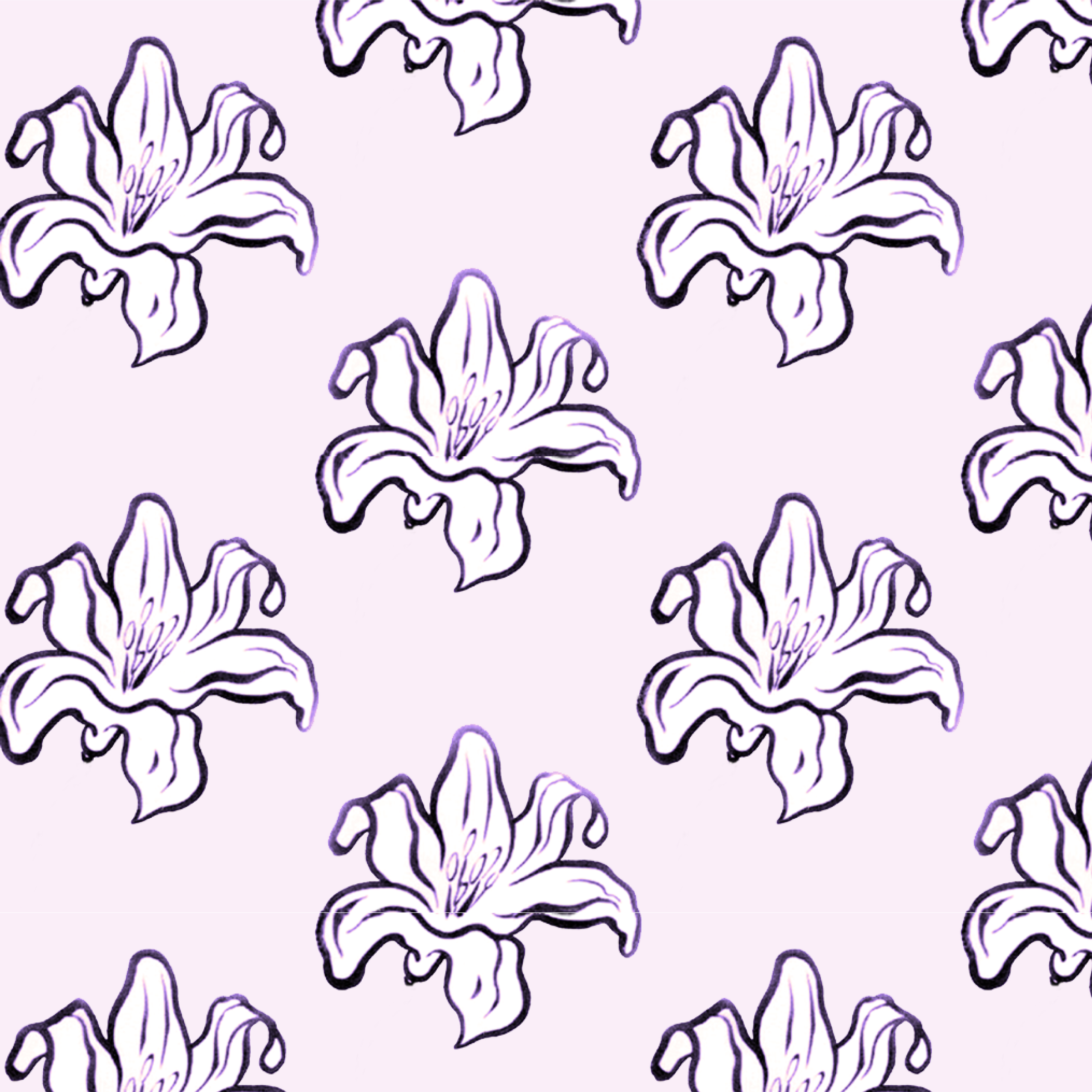 Day lily iris 4.73 a memo.png