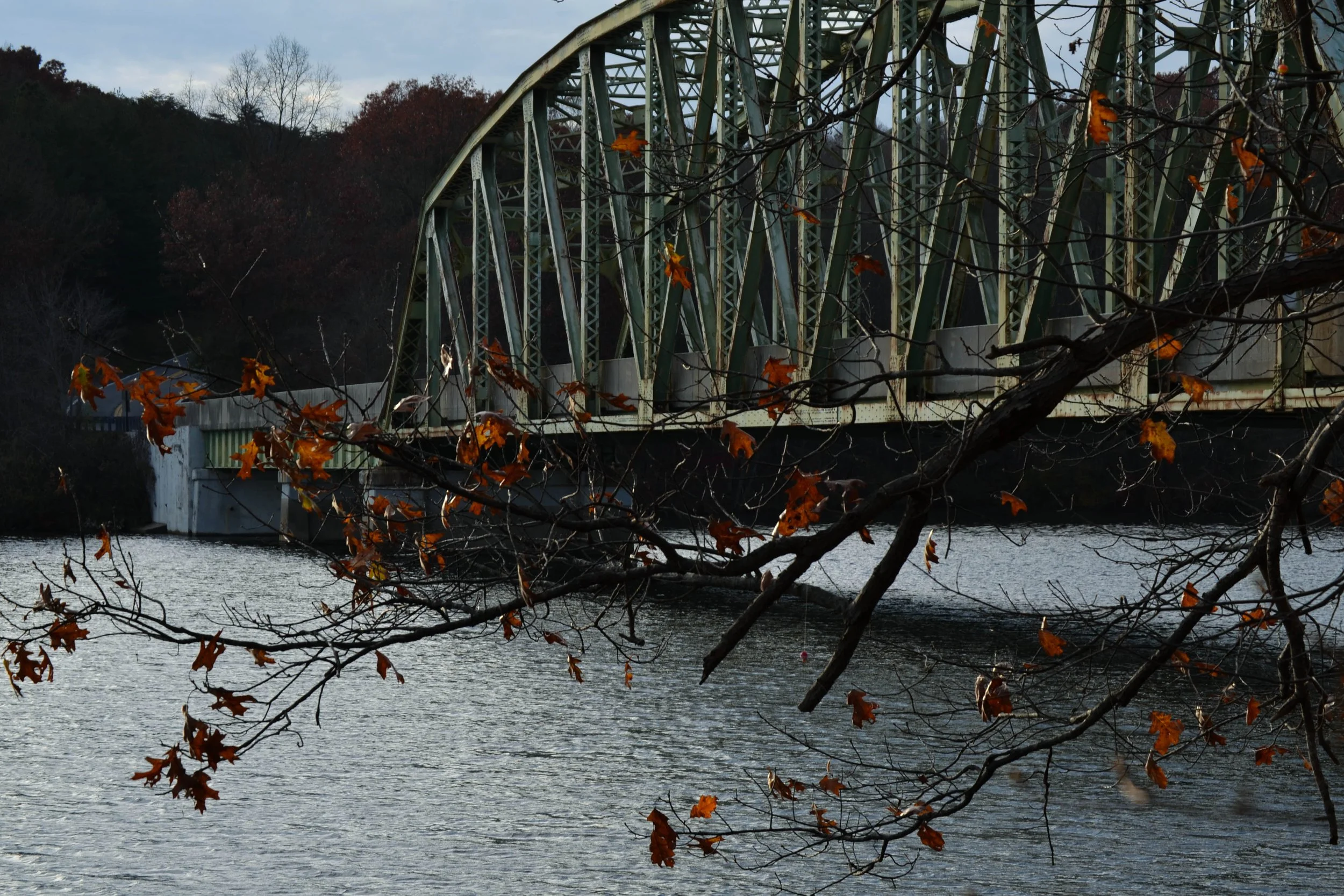 DSC_0039.jpg