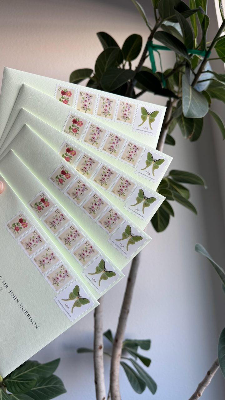 Sheets of USPS stamps featuring pink flowers and green butterflies, held near a plant with large dark green leaves.