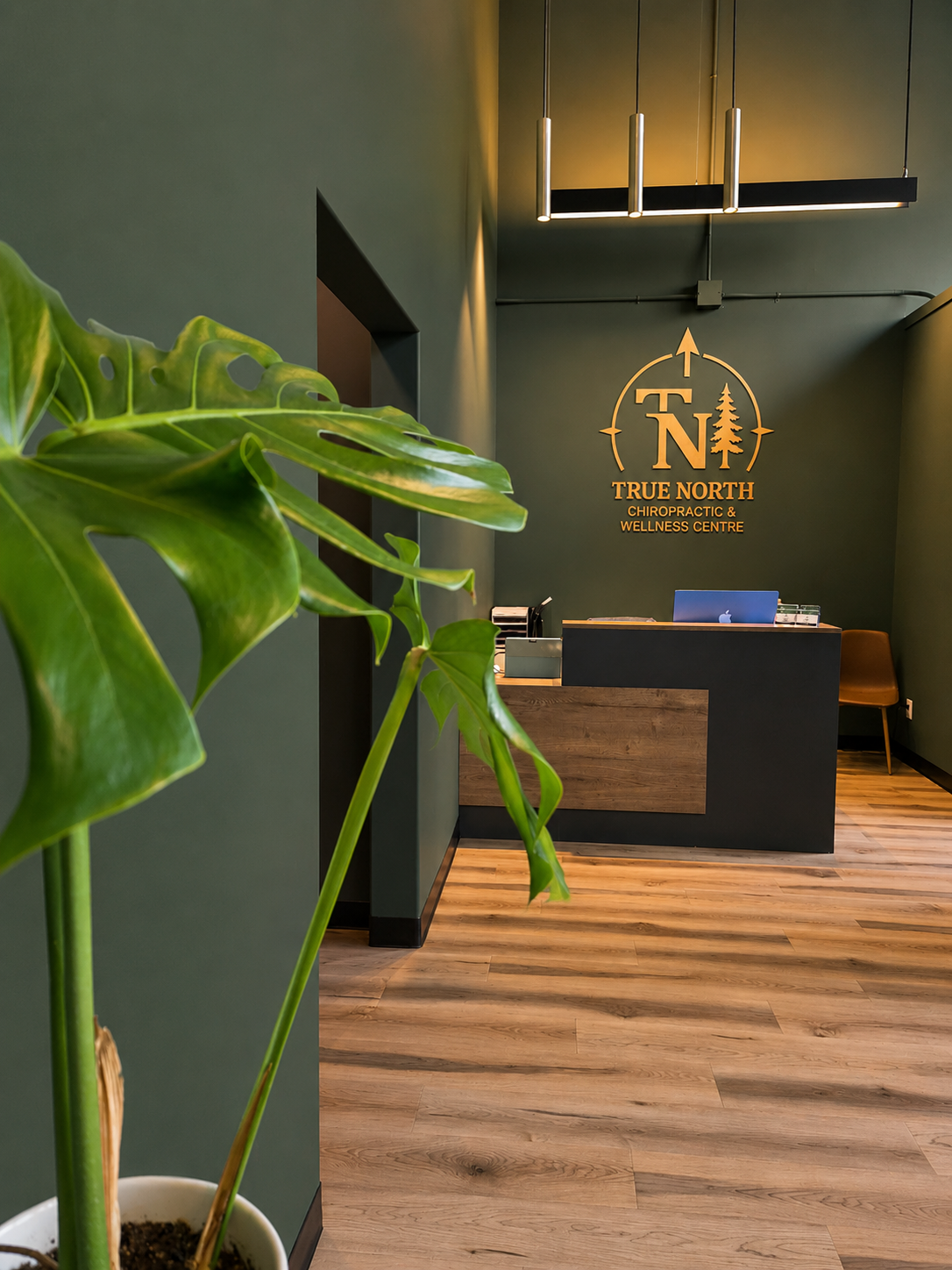 Interior view of a chiropractic and wellness center reception area with a green wall, a wooden reception desk, a green potted plant in the foreground, and a logo on the wall behind the desk reading 'True North Chiropractic & Wellness Centre' with a compass and tree design.
