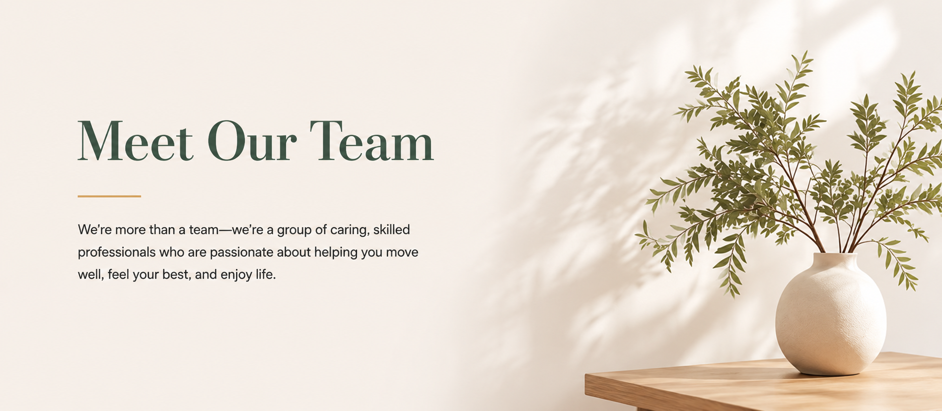 A minimalist webpage with a beige background and a potted plant on a wooden table. The webpage features the headline 'Meet Our Team' and a paragraph explaining the team is caring professionals passionate about helping others.