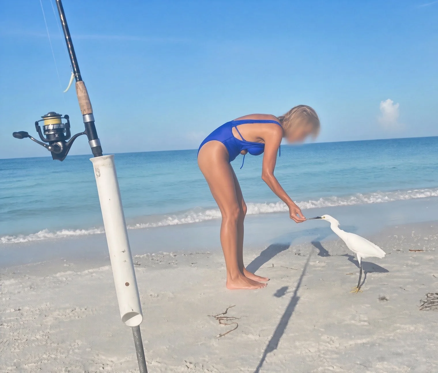 Companion in a blue swimsuit feeding a white egret on a sunny beach