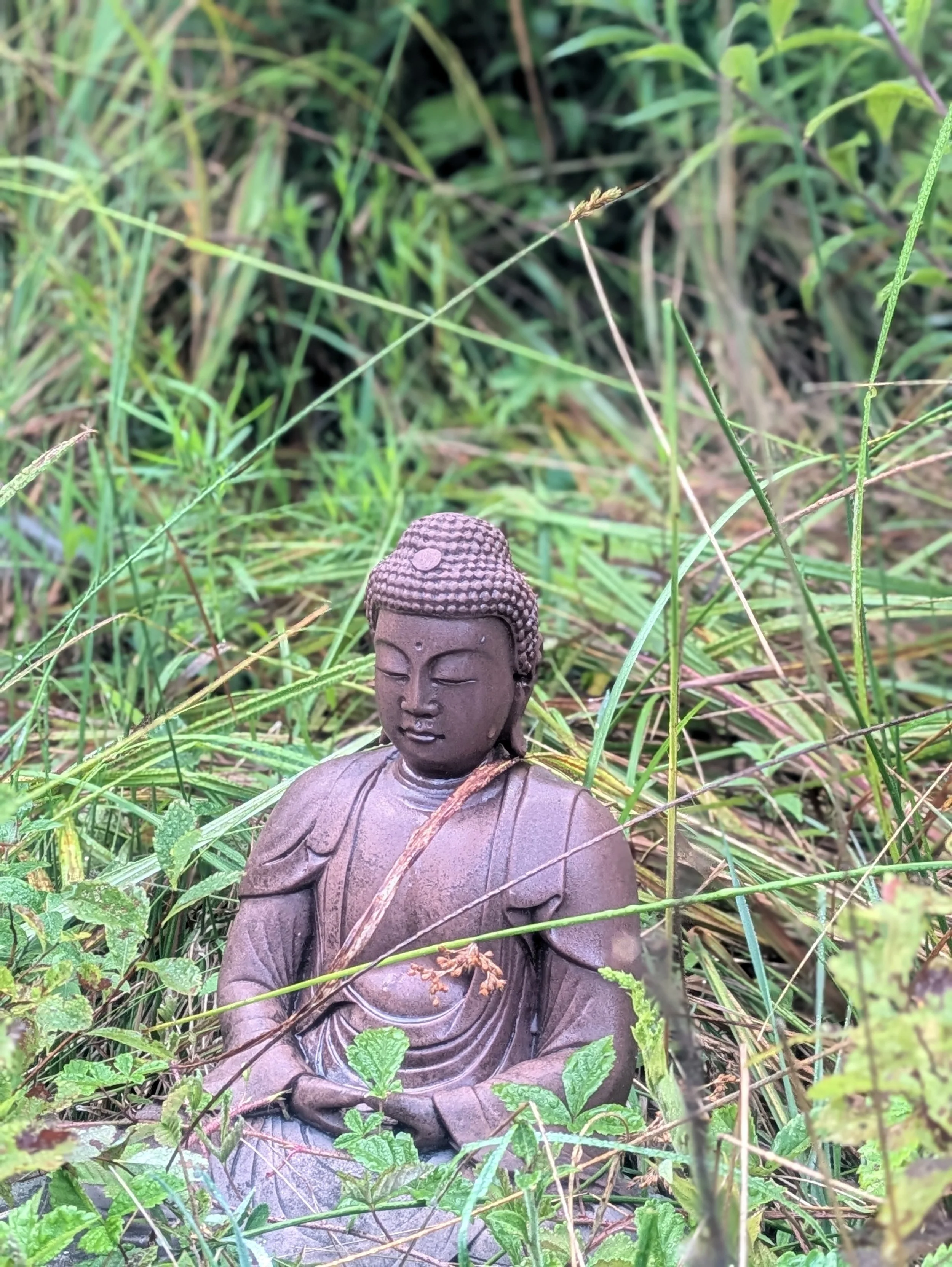 Simply Silent Sitting Sunday