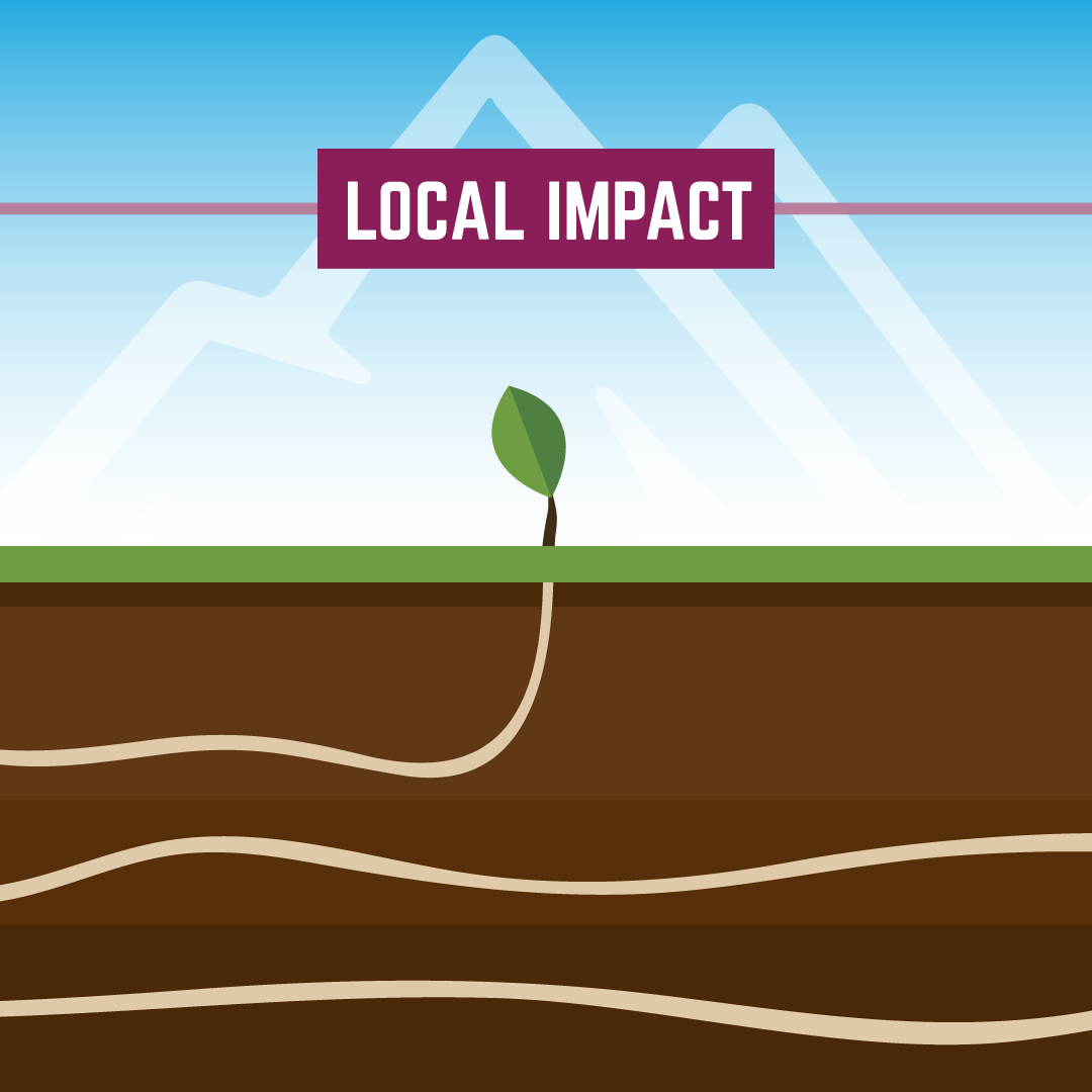 co-coop-campaign-1-carousel-ad-2-roots-B.png