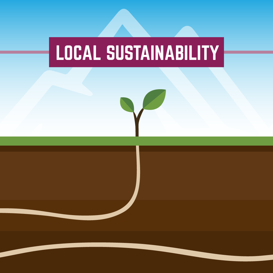 co-coop-campaign-1-carousel-ad-2-roots-C.png