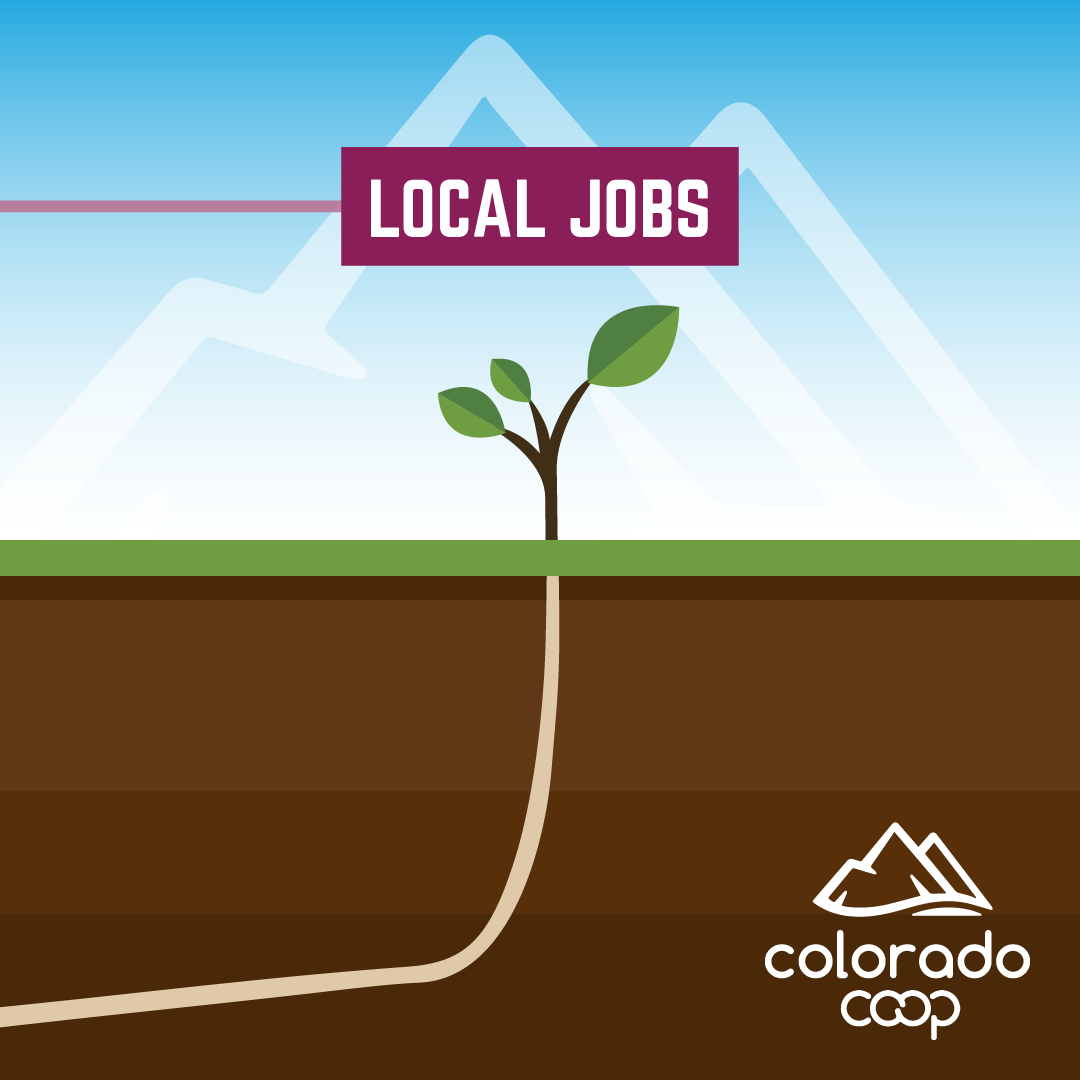 co-coop-campaign-1-carousel-ad-2-roots-D.png