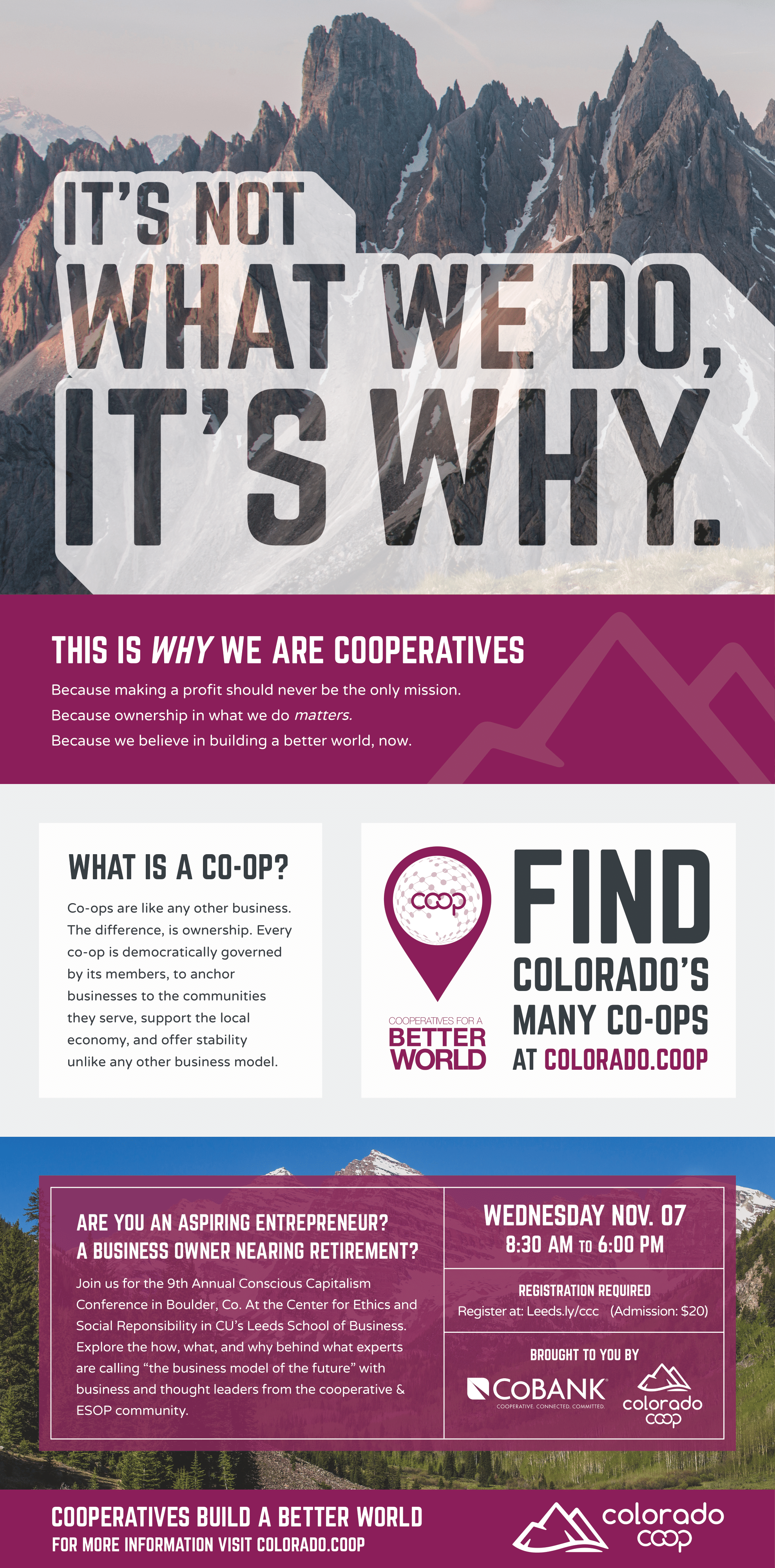 Full-page AD, featured in USA TODAY in the Denver metro area