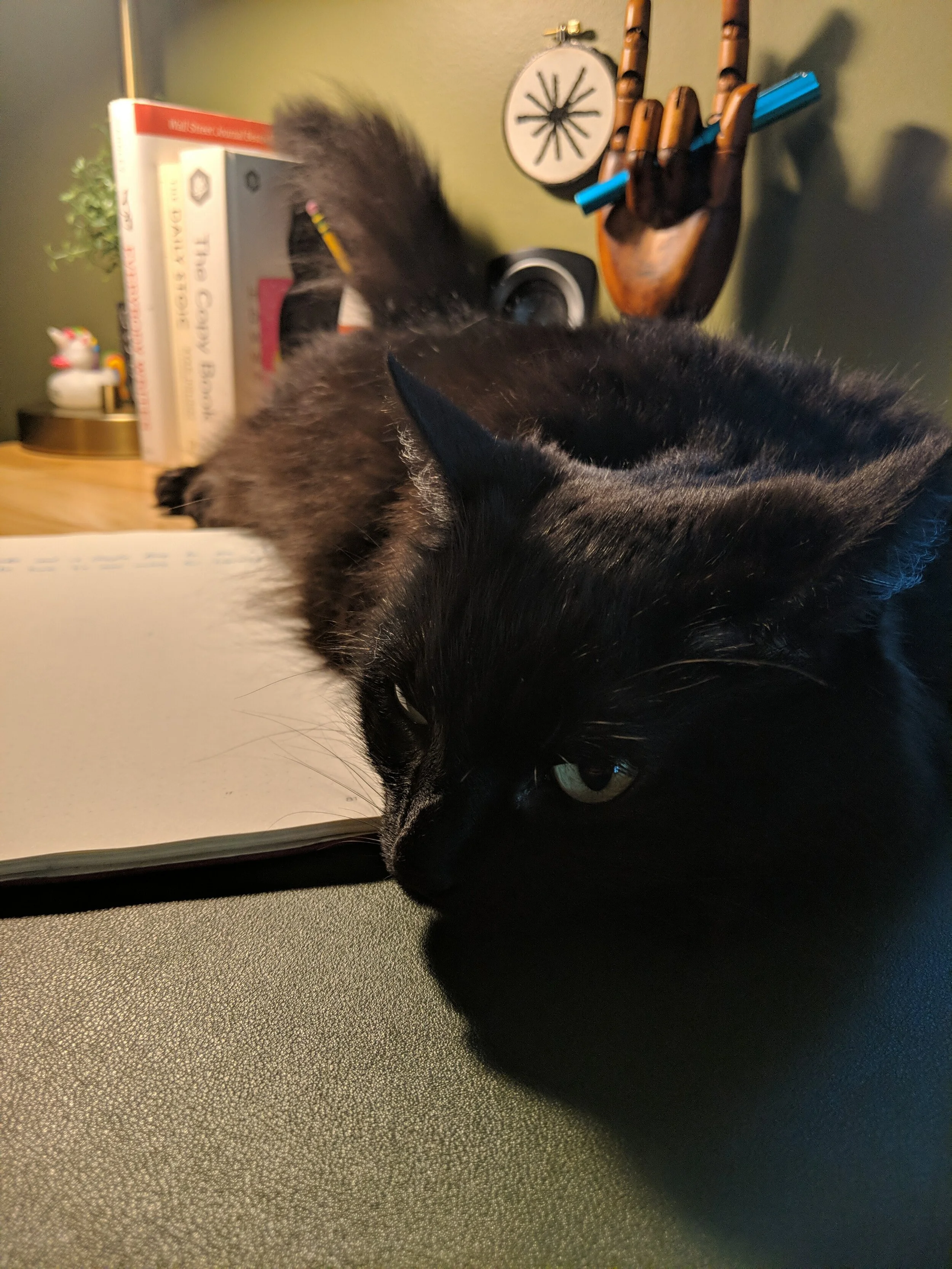Assistant #2: Maizey