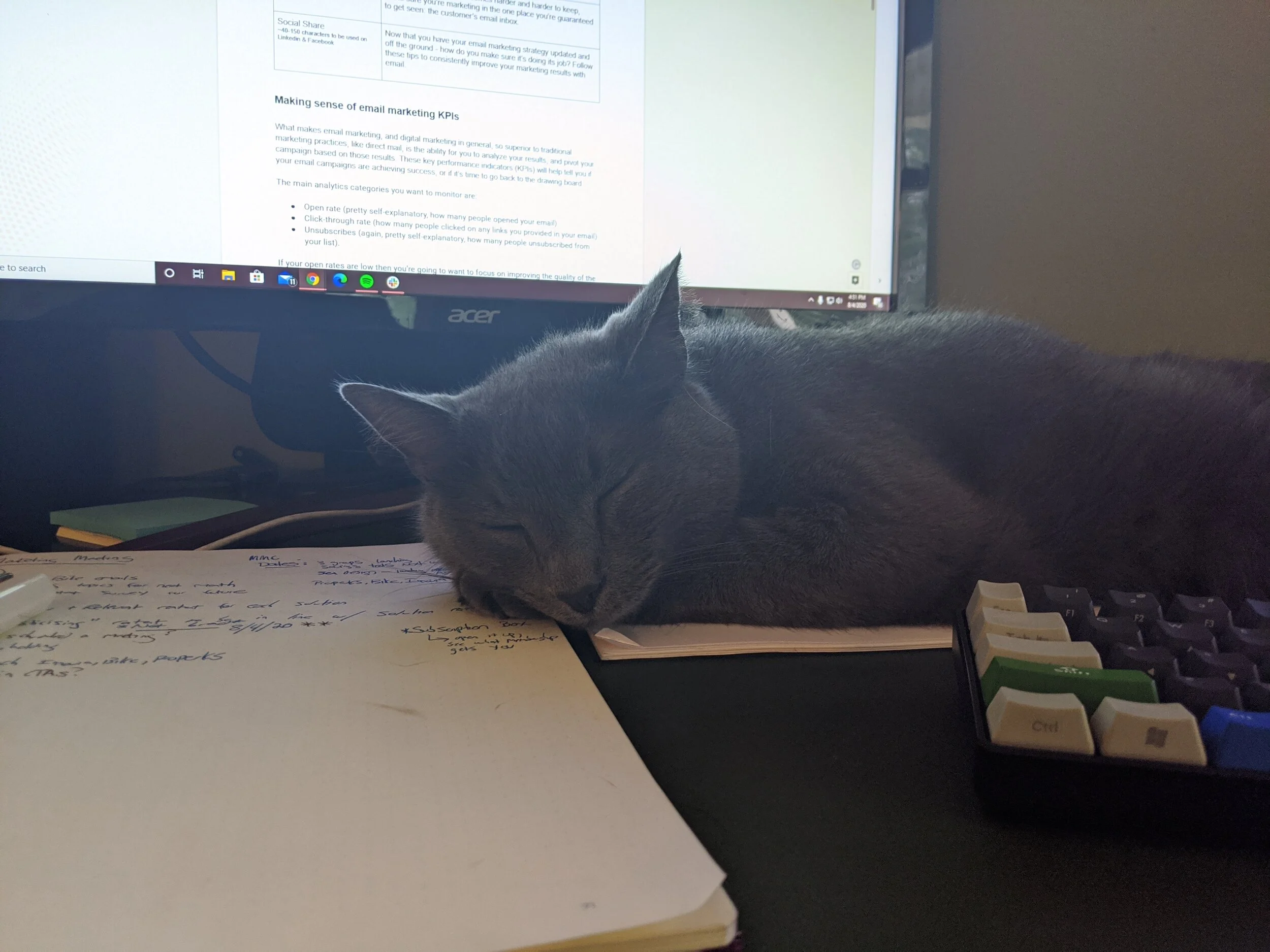 Meet my draft-buddy, Ignatius Reilly.