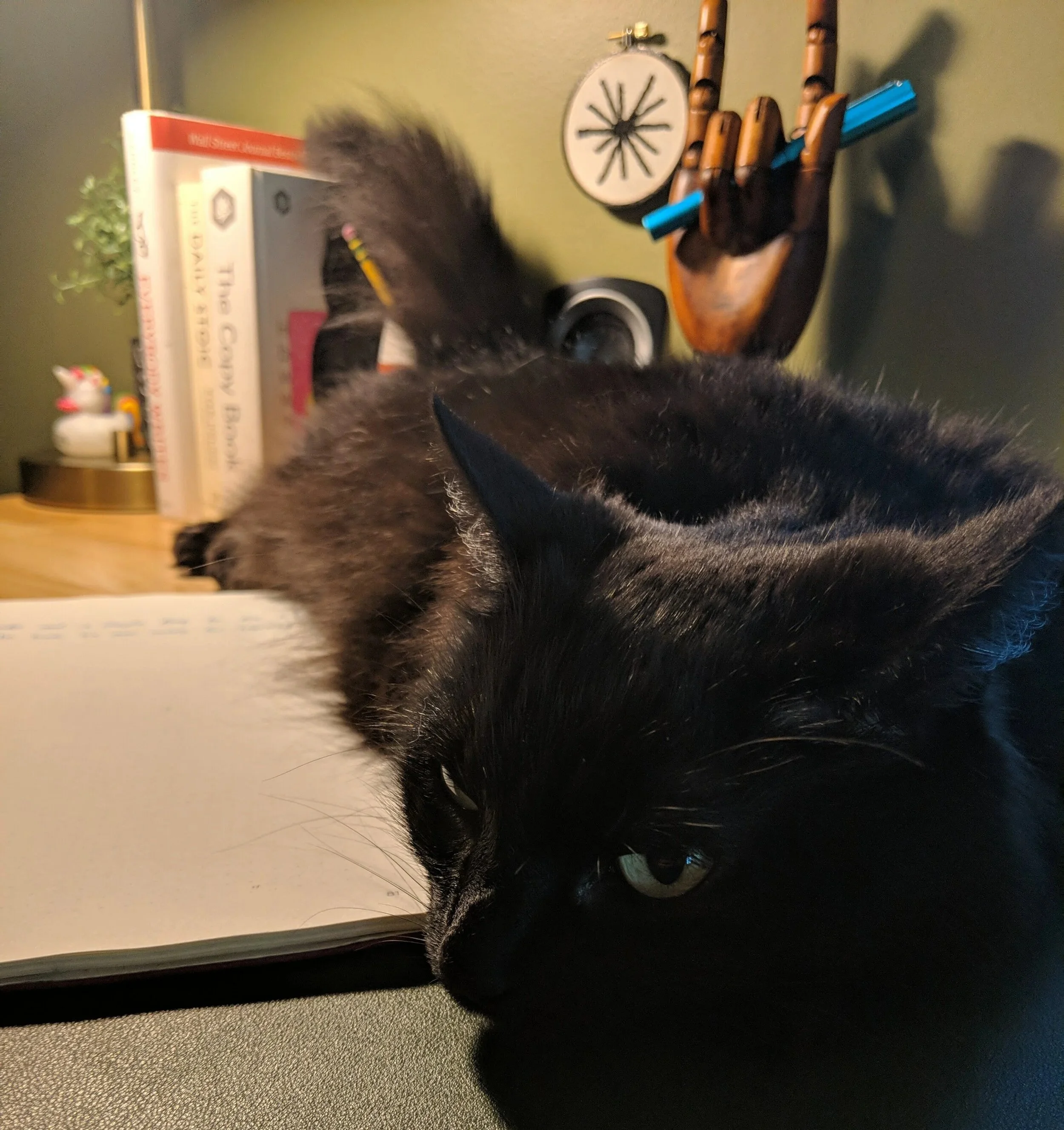 Zoom Attendant #2: Maizey