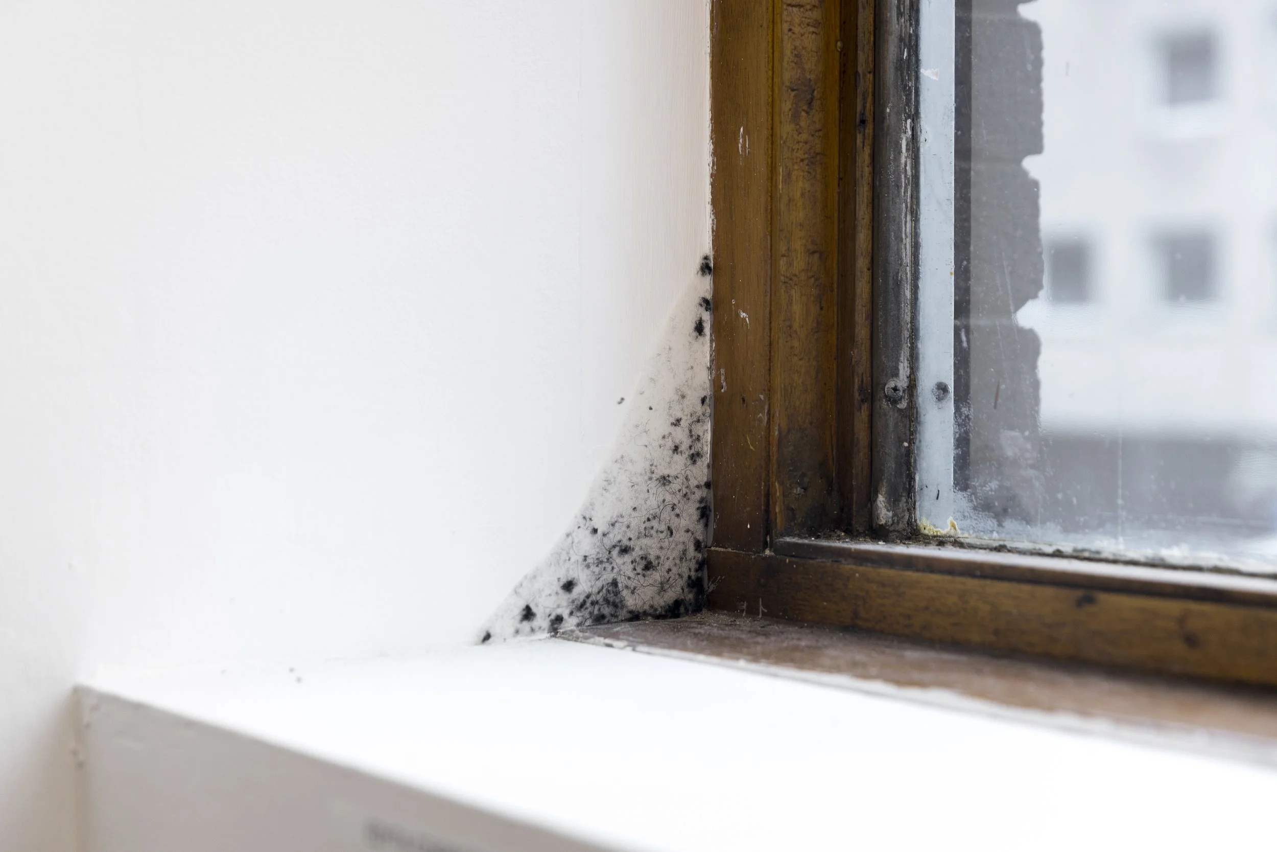Open Open - Image Credit Matt Denham (301).jpg