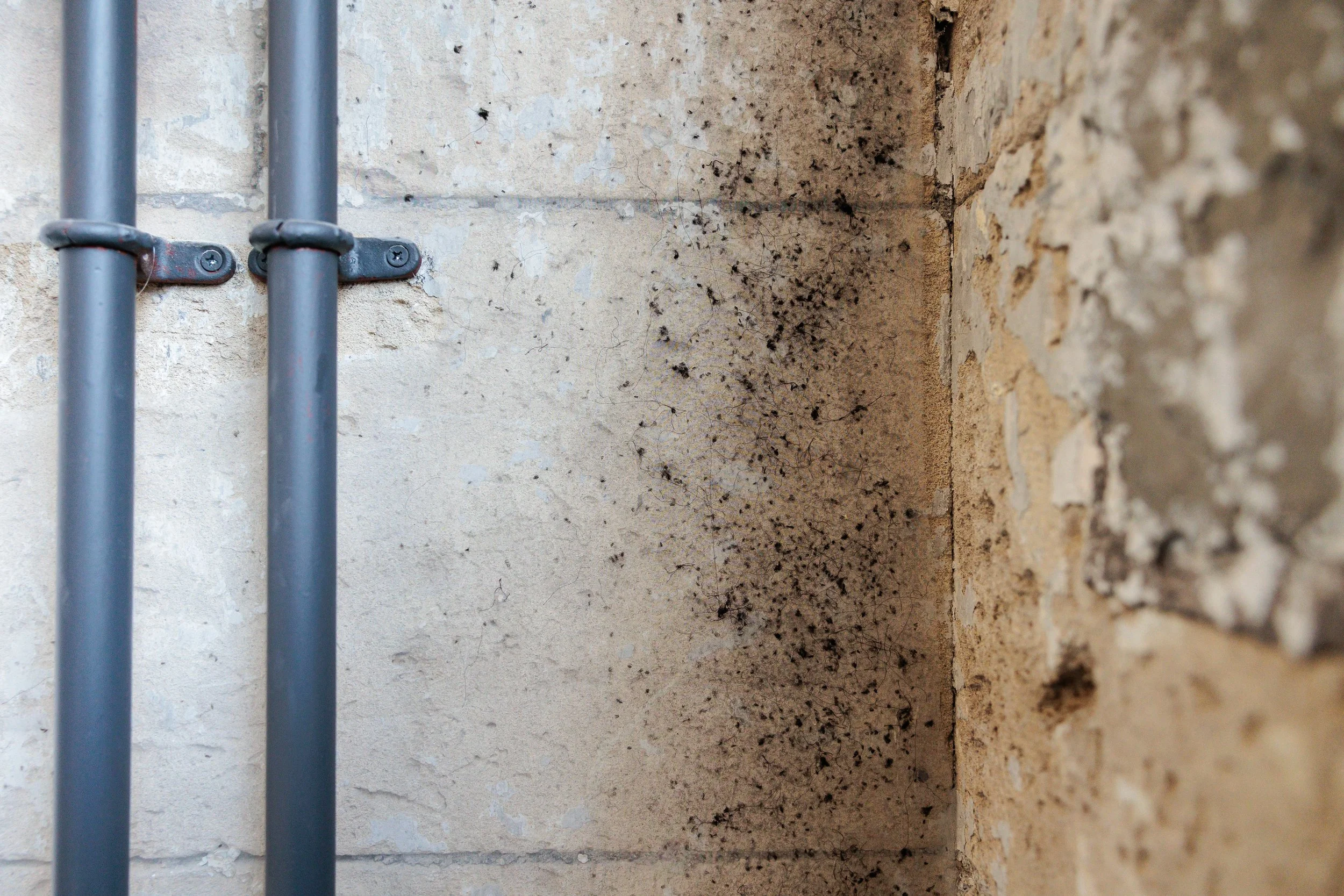 Anna_Fringe_Arts_Bath-11.jpg