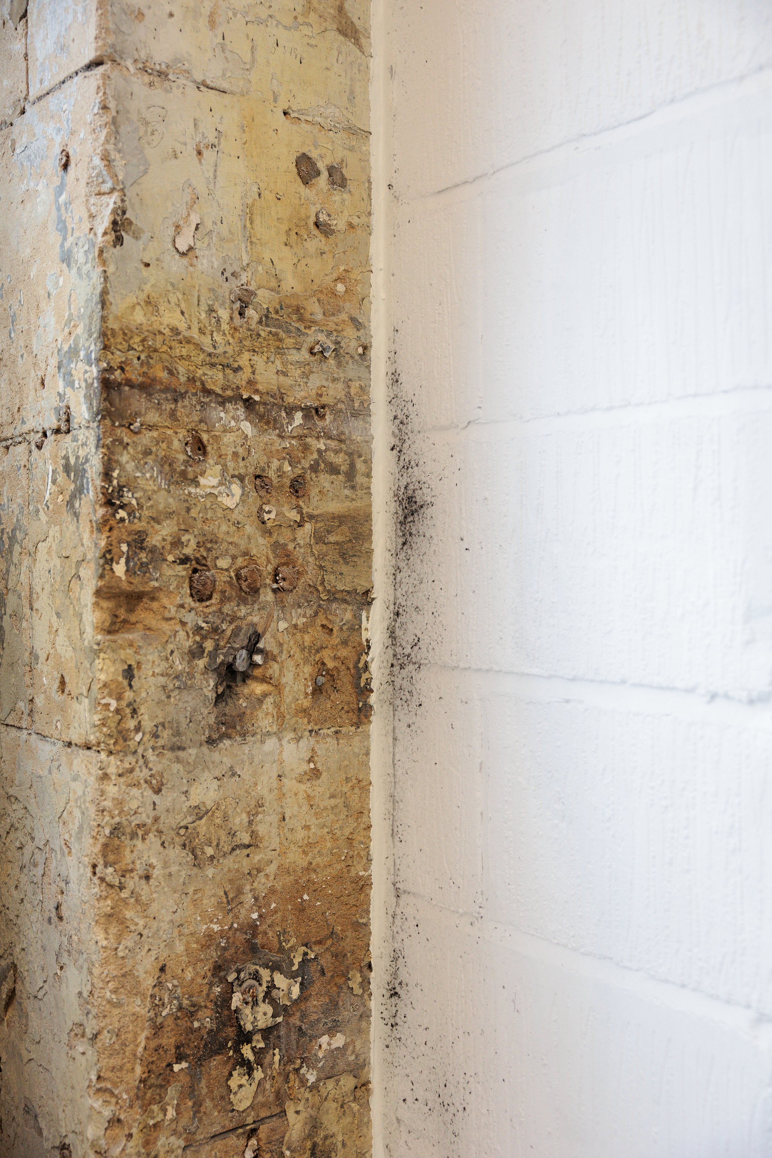 Anna_Fringe_Arts_Bath-6.jpg
