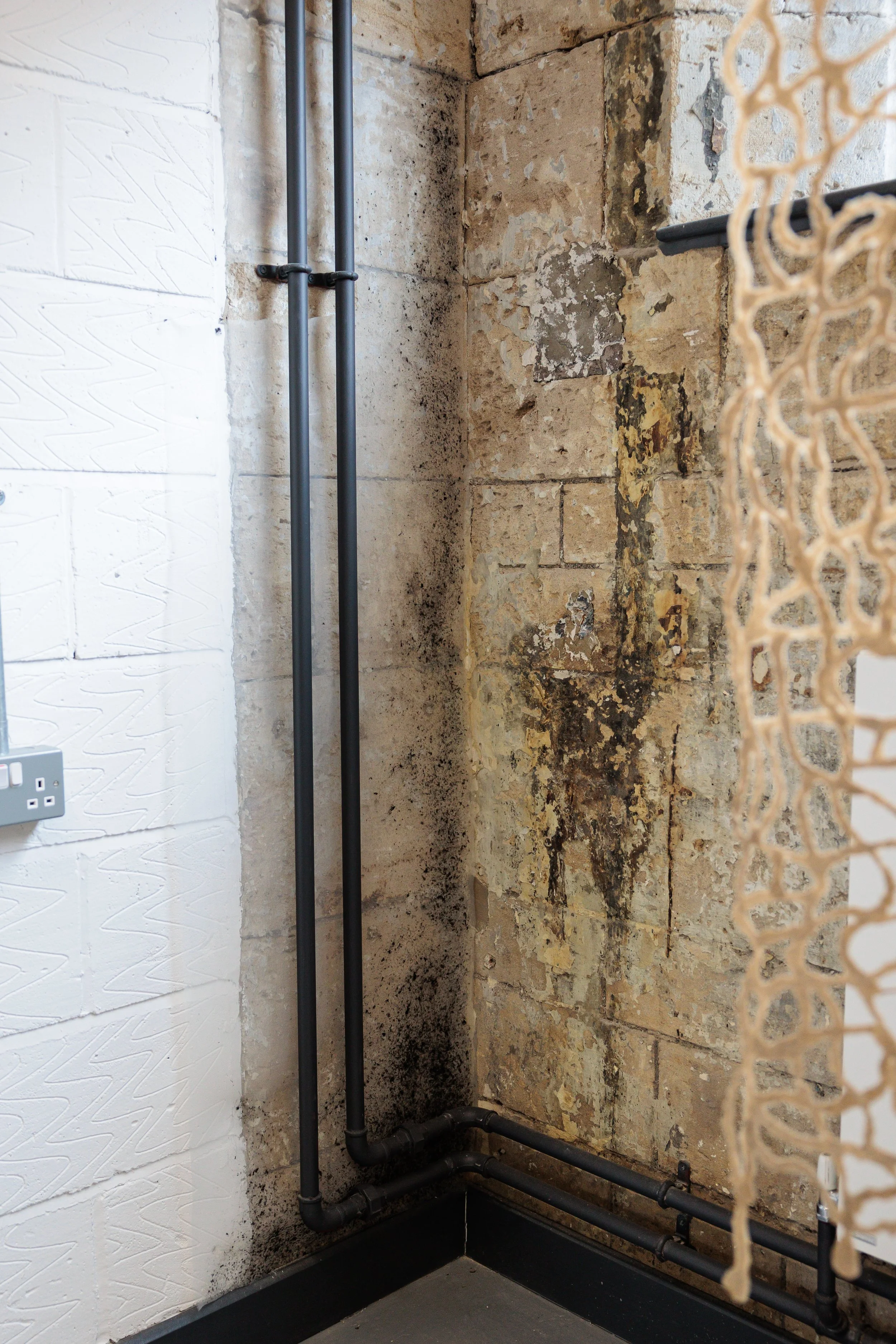 Anna_Fringe_Arts_Bath-12.jpg