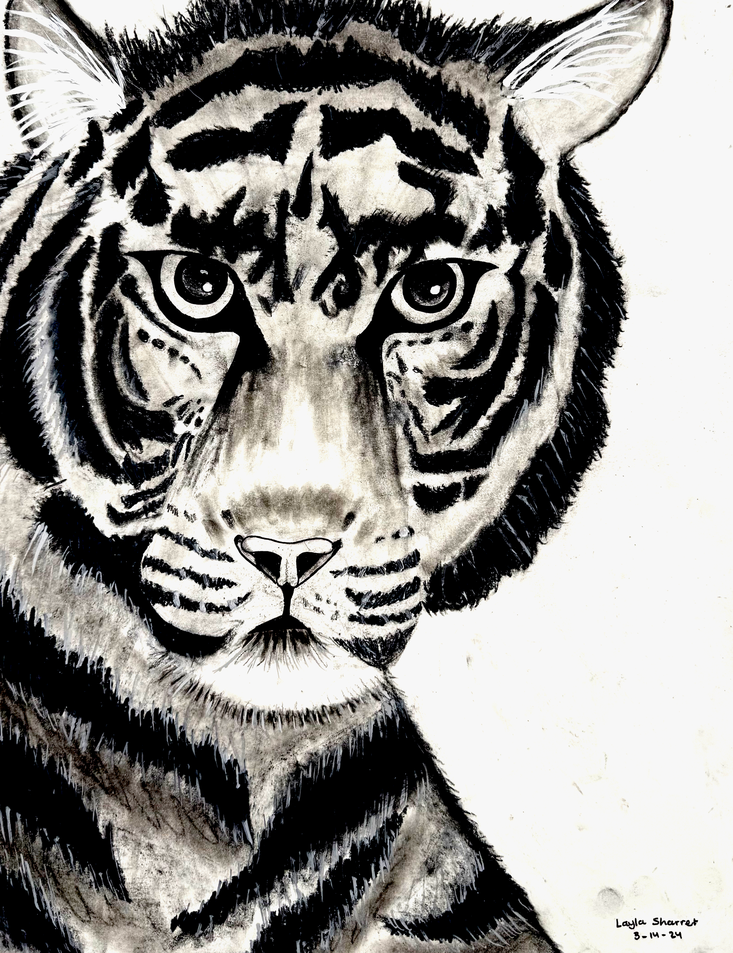 The Wild in Black and White
