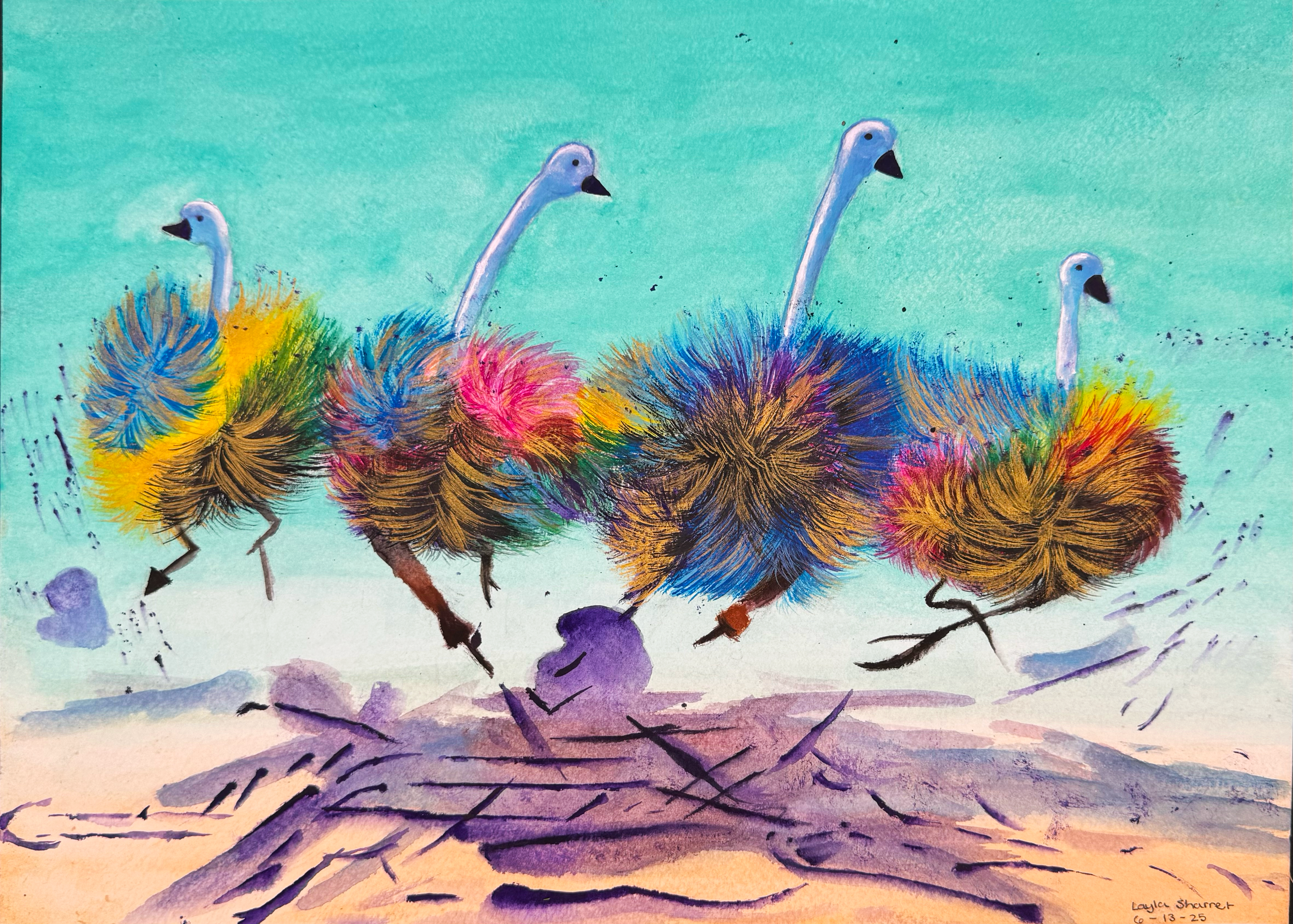 Birds