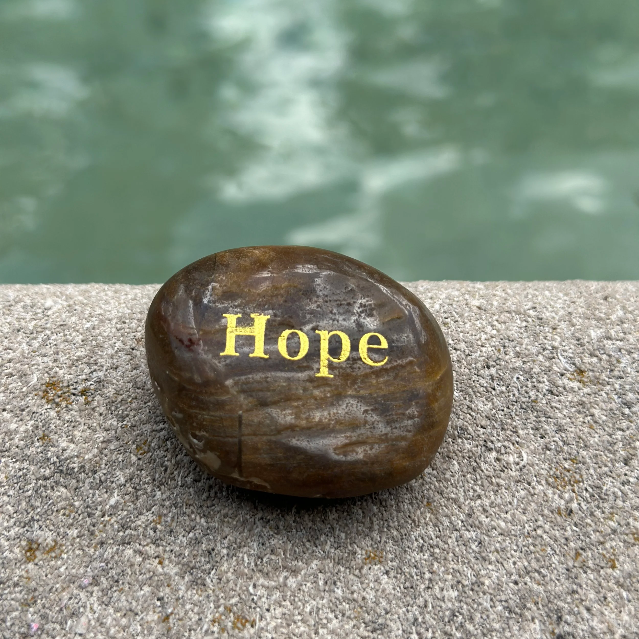 IMG_3514.png