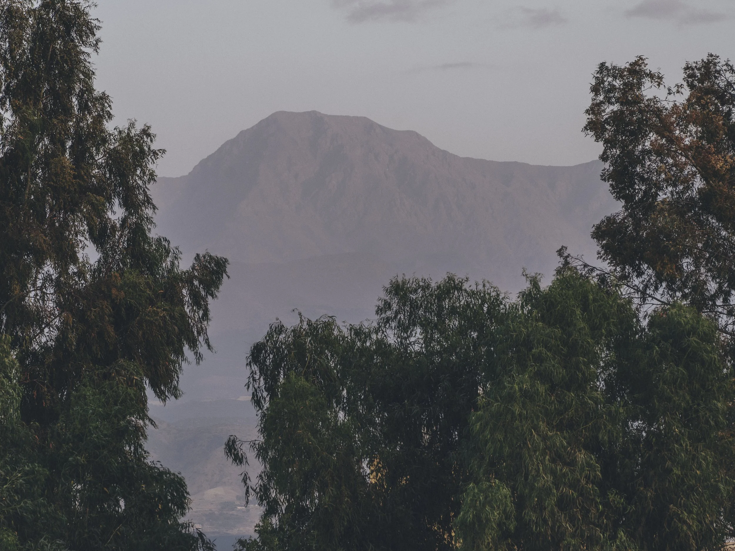 BR_DarArbala_0626-8165.jpg