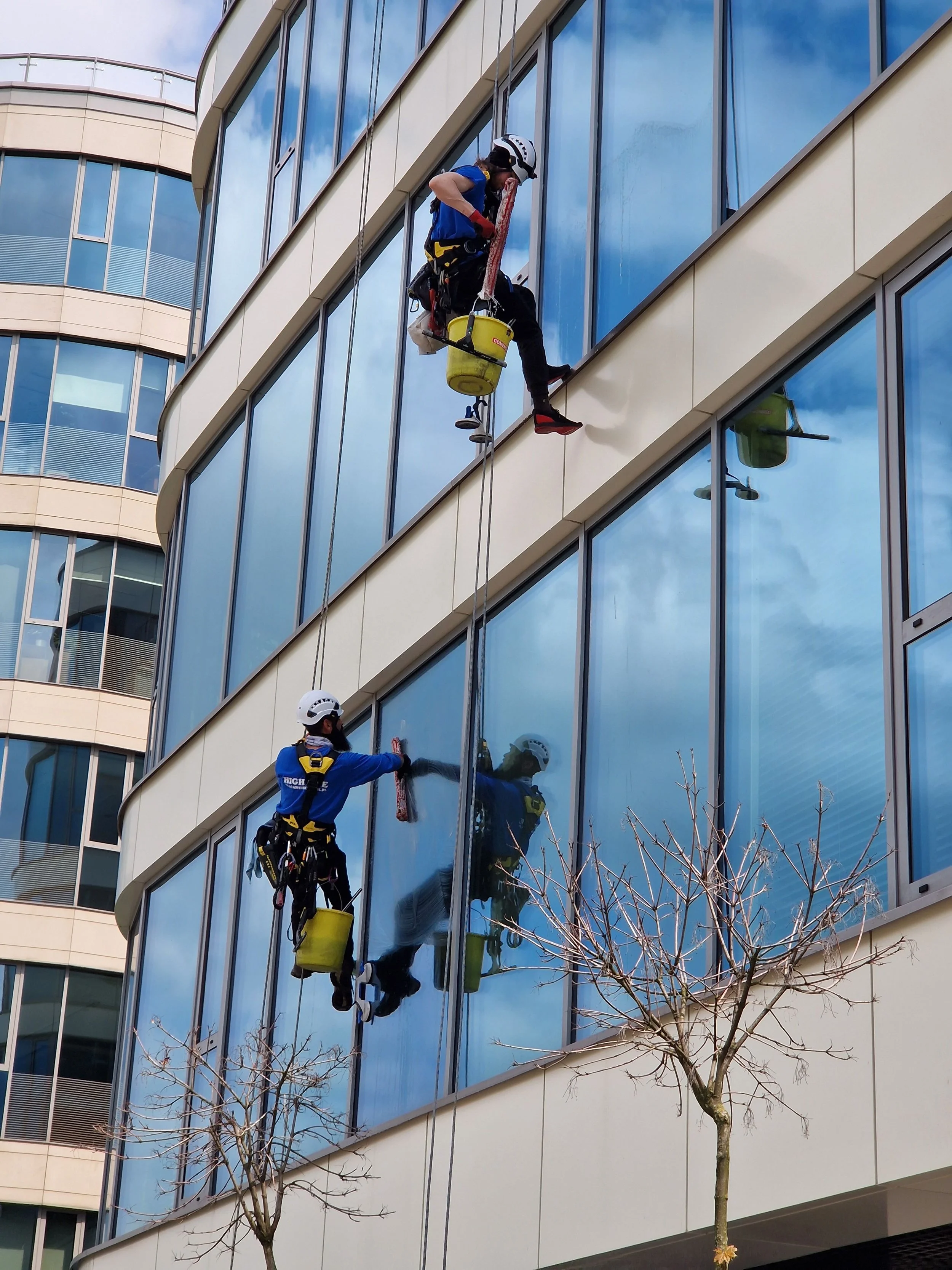 Dos trabajadores limpiando las ventanas de un edificio alto con arnés y equipo de seguridad, con un árbol sin hojas en primer plano y un cielo parcialmente nublado en el fondo.